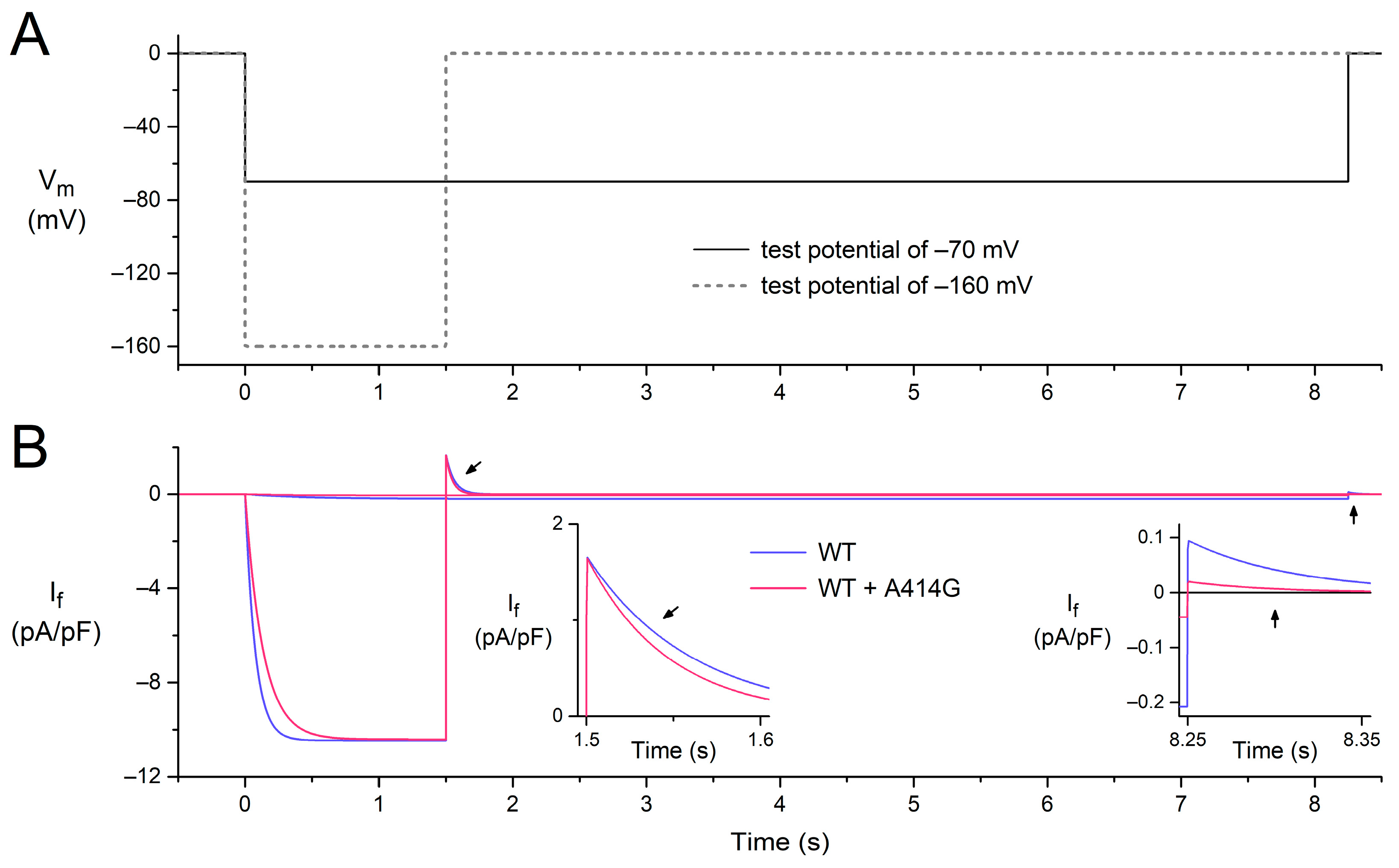 Cardiogenetics 13 00012 g006