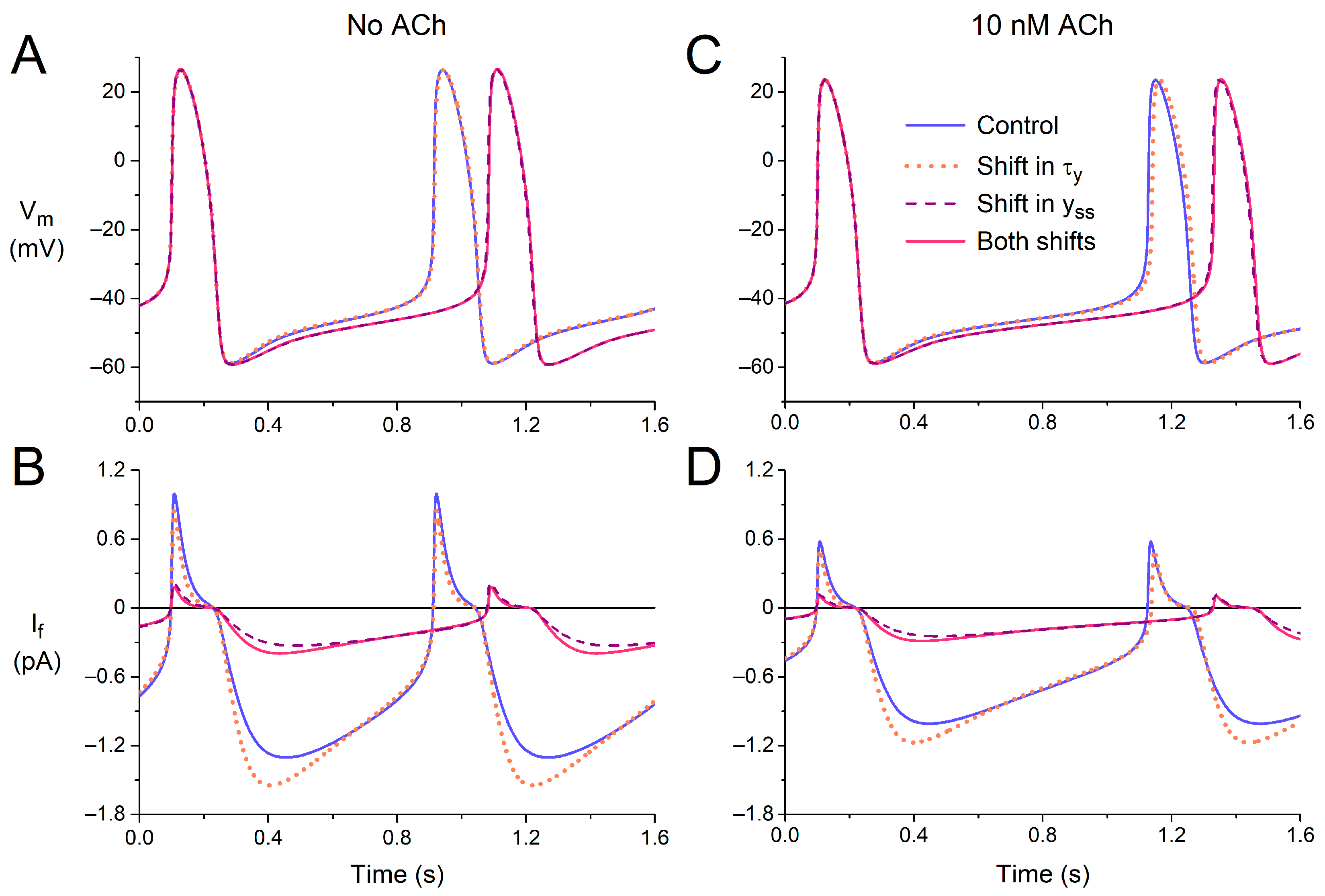 Cardiogenetics 13 00012 g007