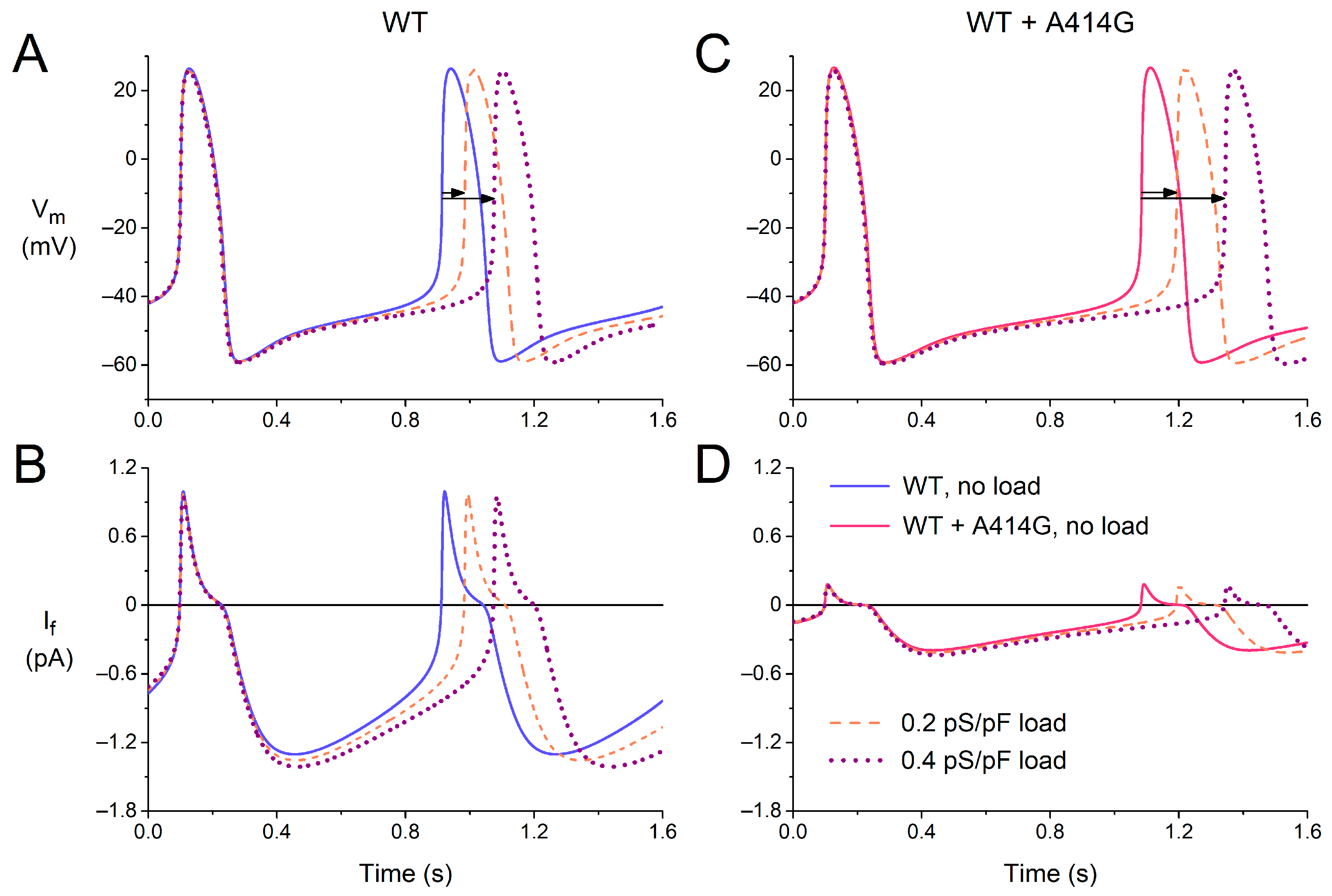 Cardiogenetics 13 00012 g008