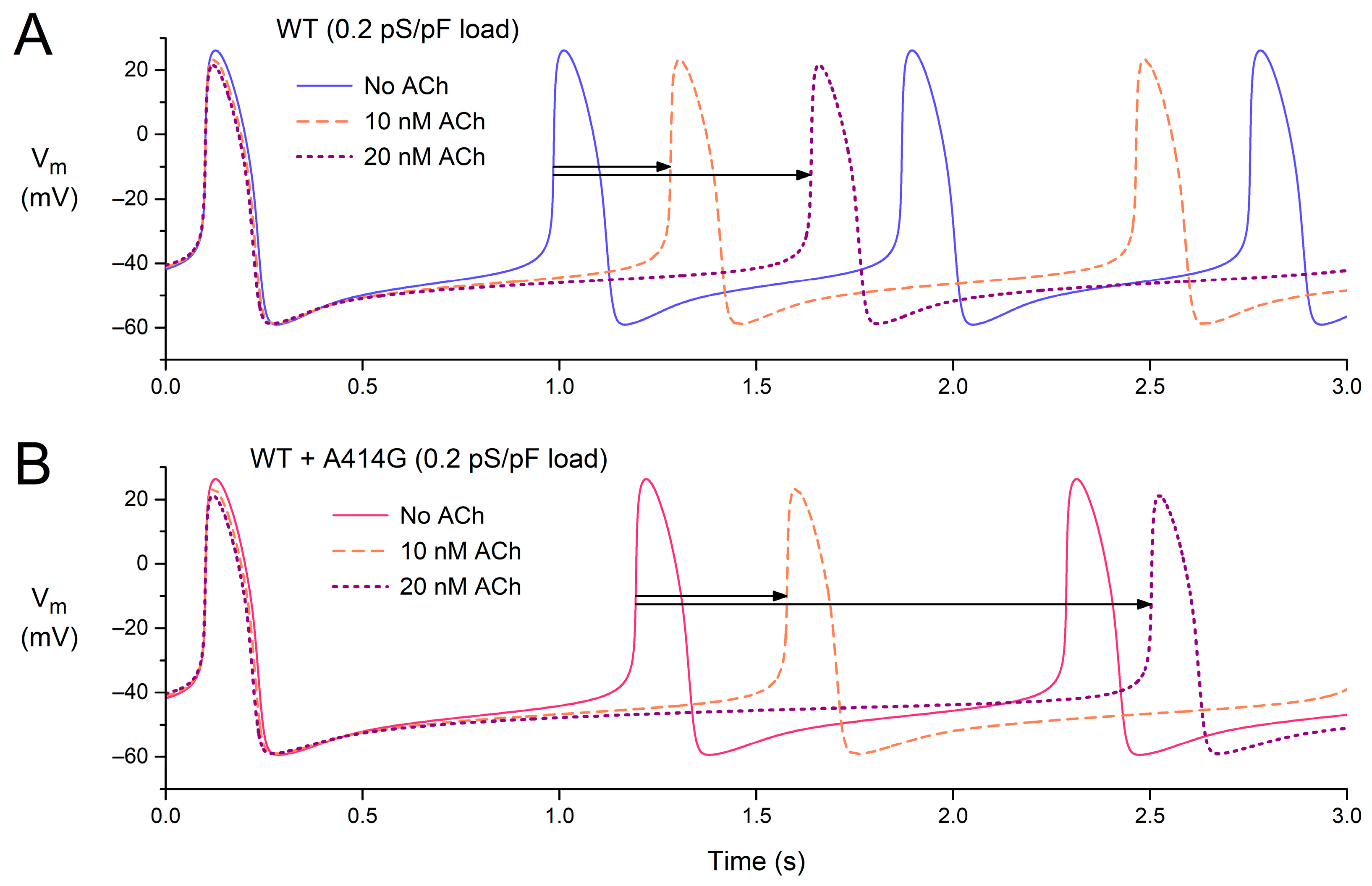 Cardiogenetics 13 00012 g009