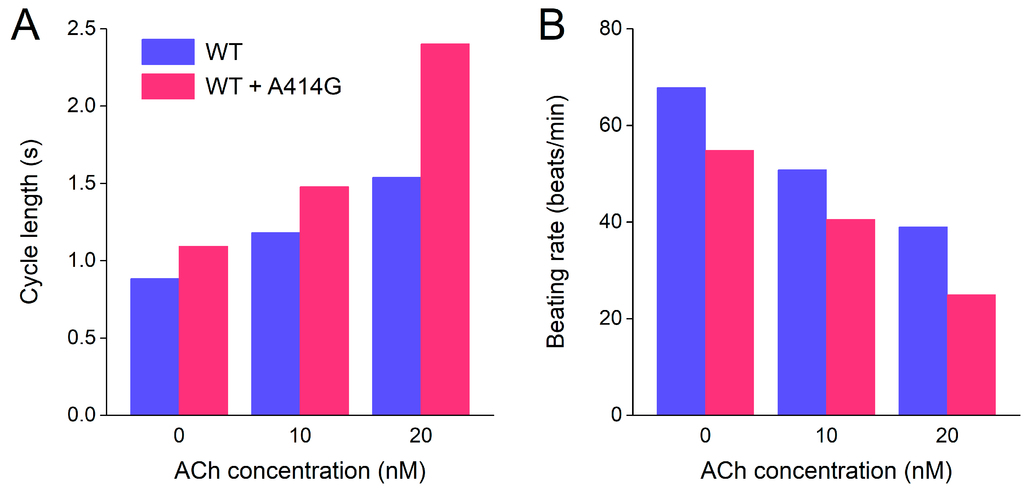 Cardiogenetics 13 00012 g010