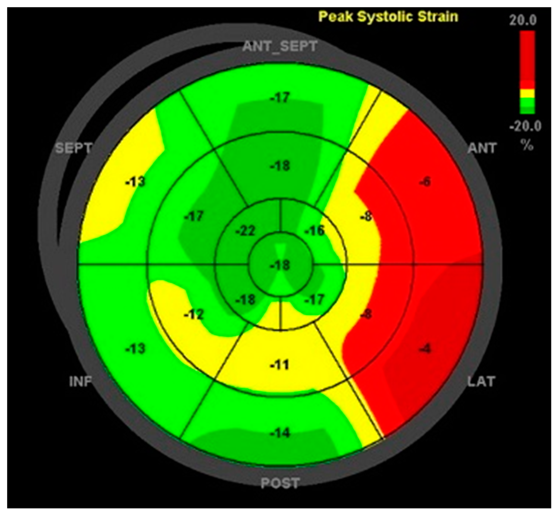 Cardiogenetics 13 00014 g002