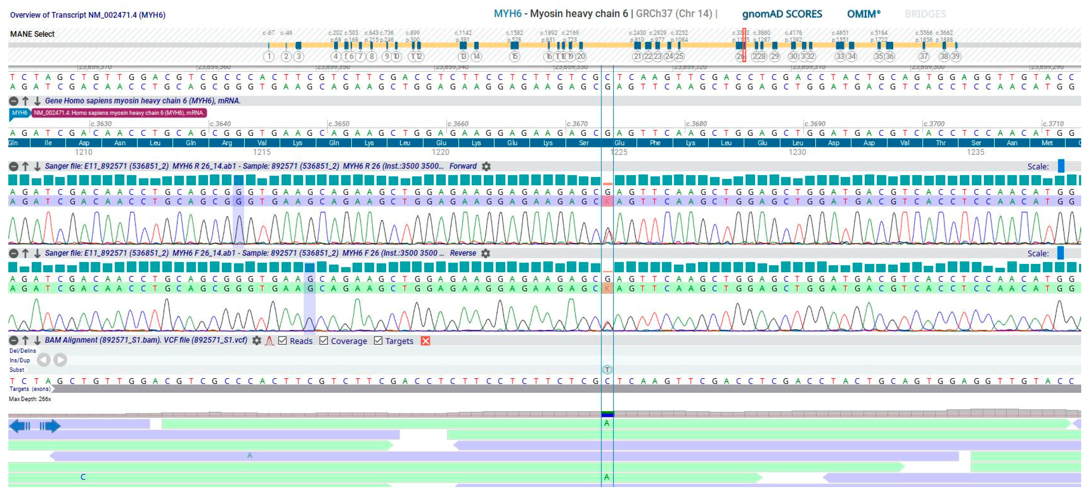 Cardiogenetics 13 00014 g004