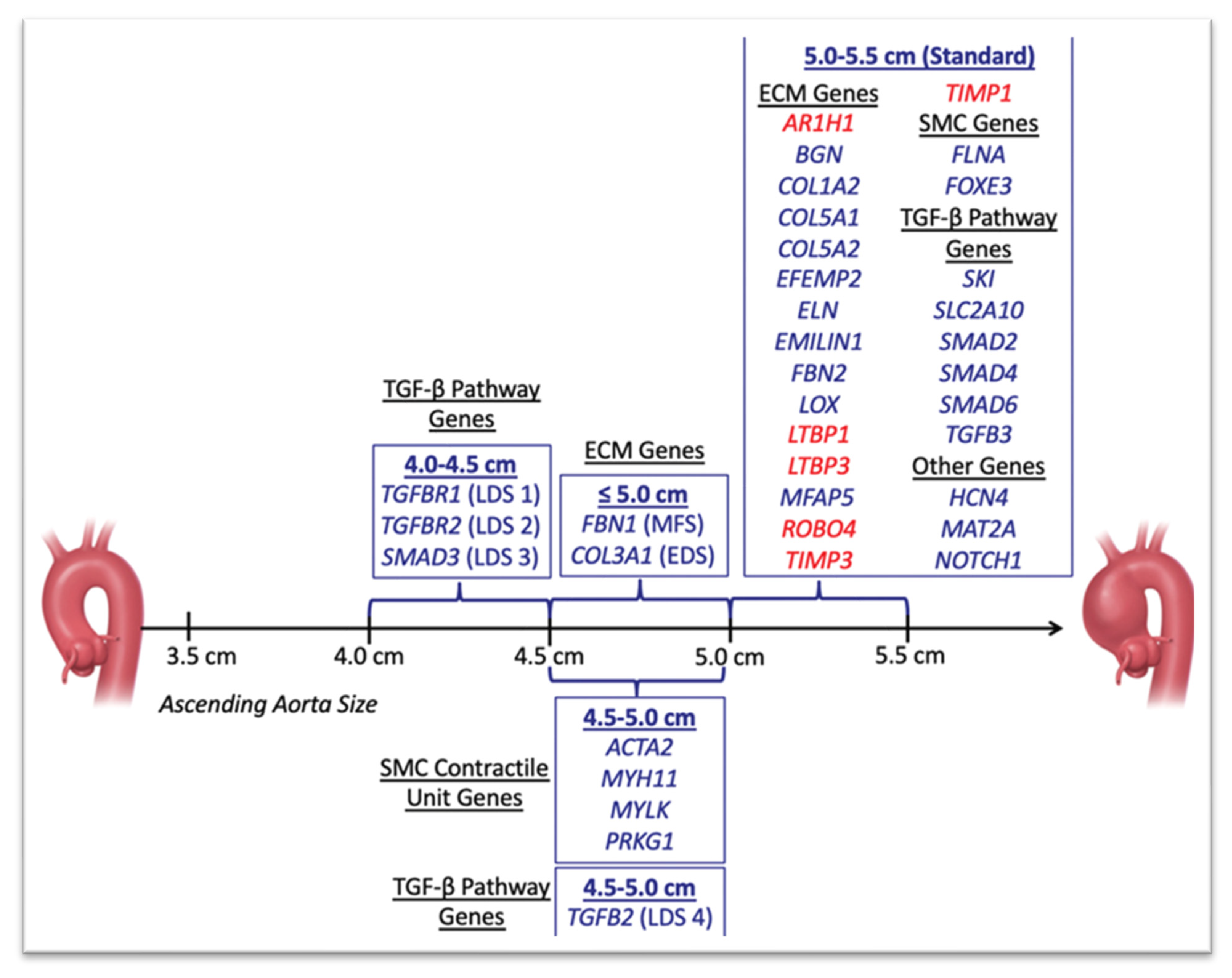 Cardiogenetics 13 00015 g002 Cardiogenetics 13 00015 g002