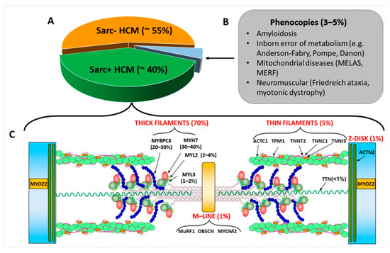 Cardiogenetics 14 00002 g001