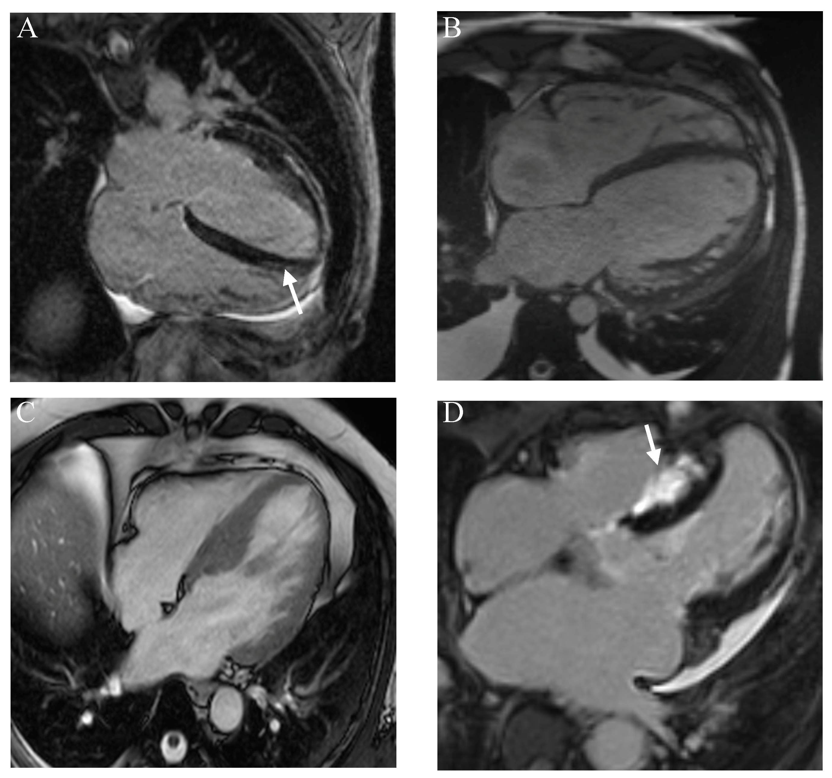 Cardiogenetics 14 00009 g002