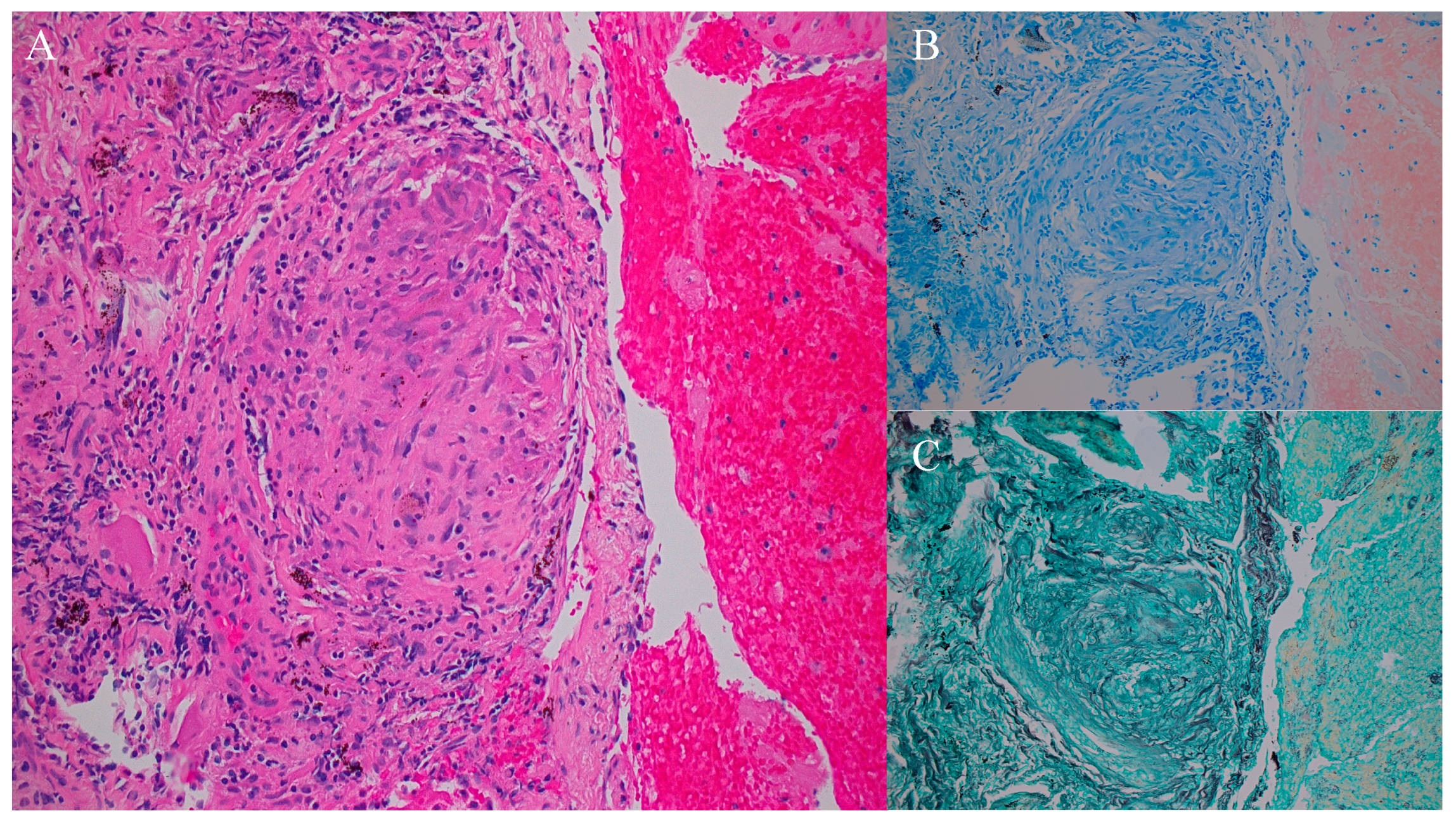 Cardiogenetics 14 00009 g003