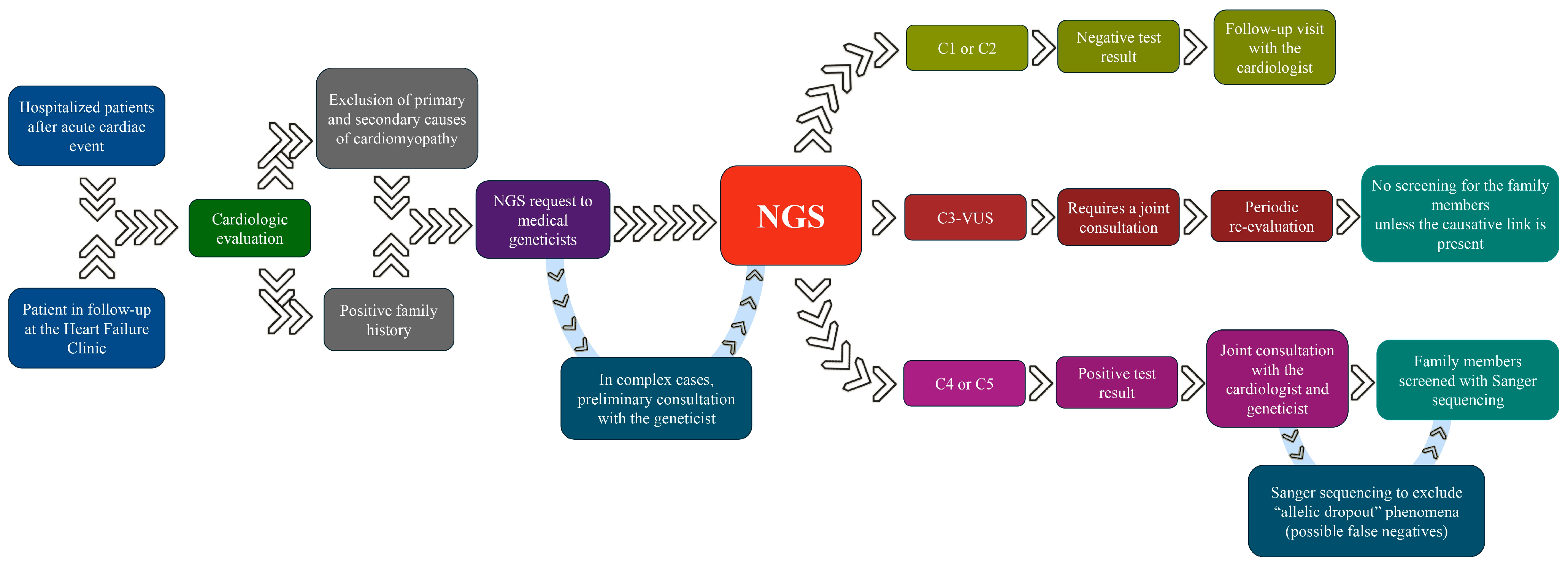 Cardiogenetics 14 00010 g001 Cardiogenetics 14 00010 g001