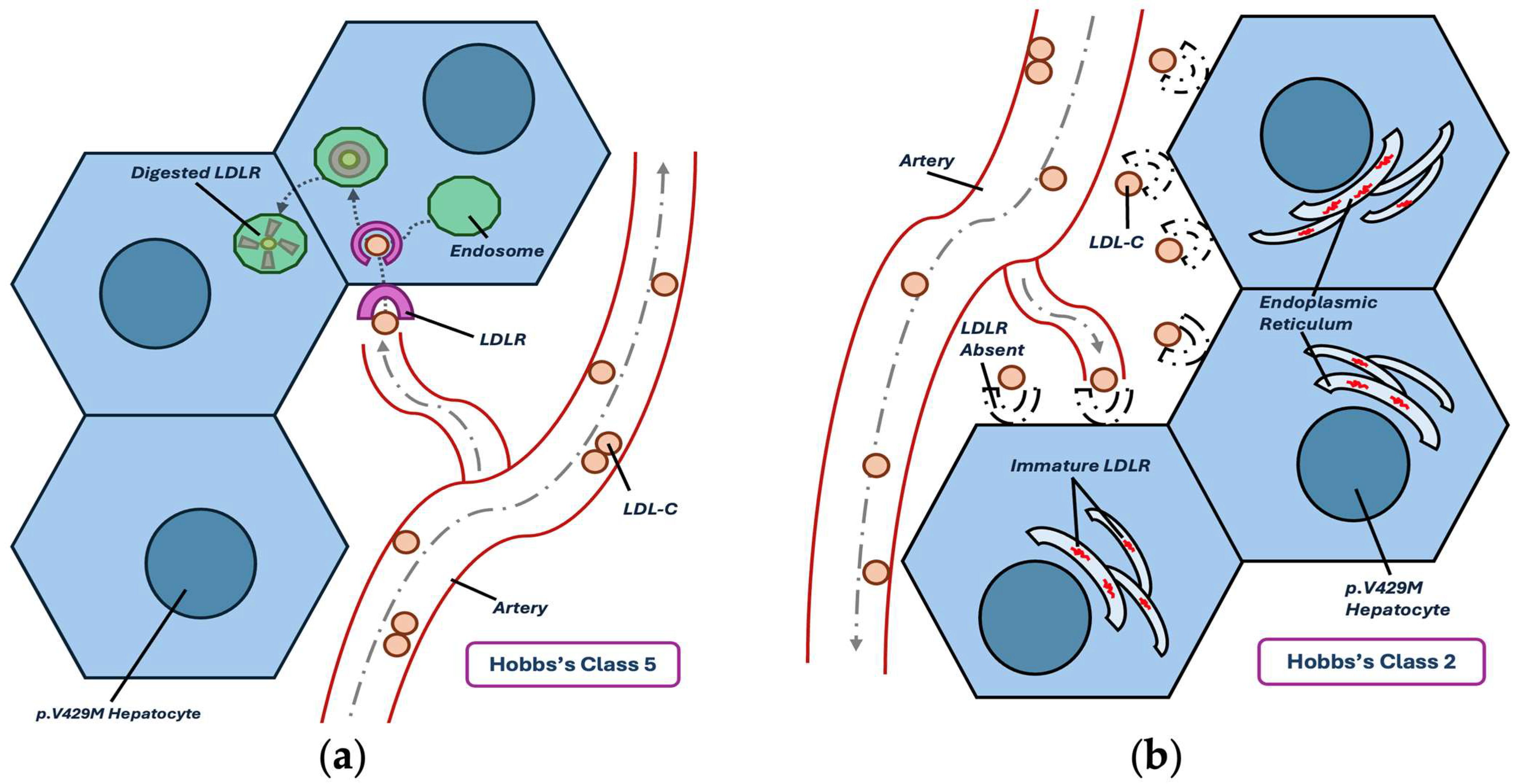 Cardiogenetics 14 00013 g001 Cardiogenetics 14 00013 g001