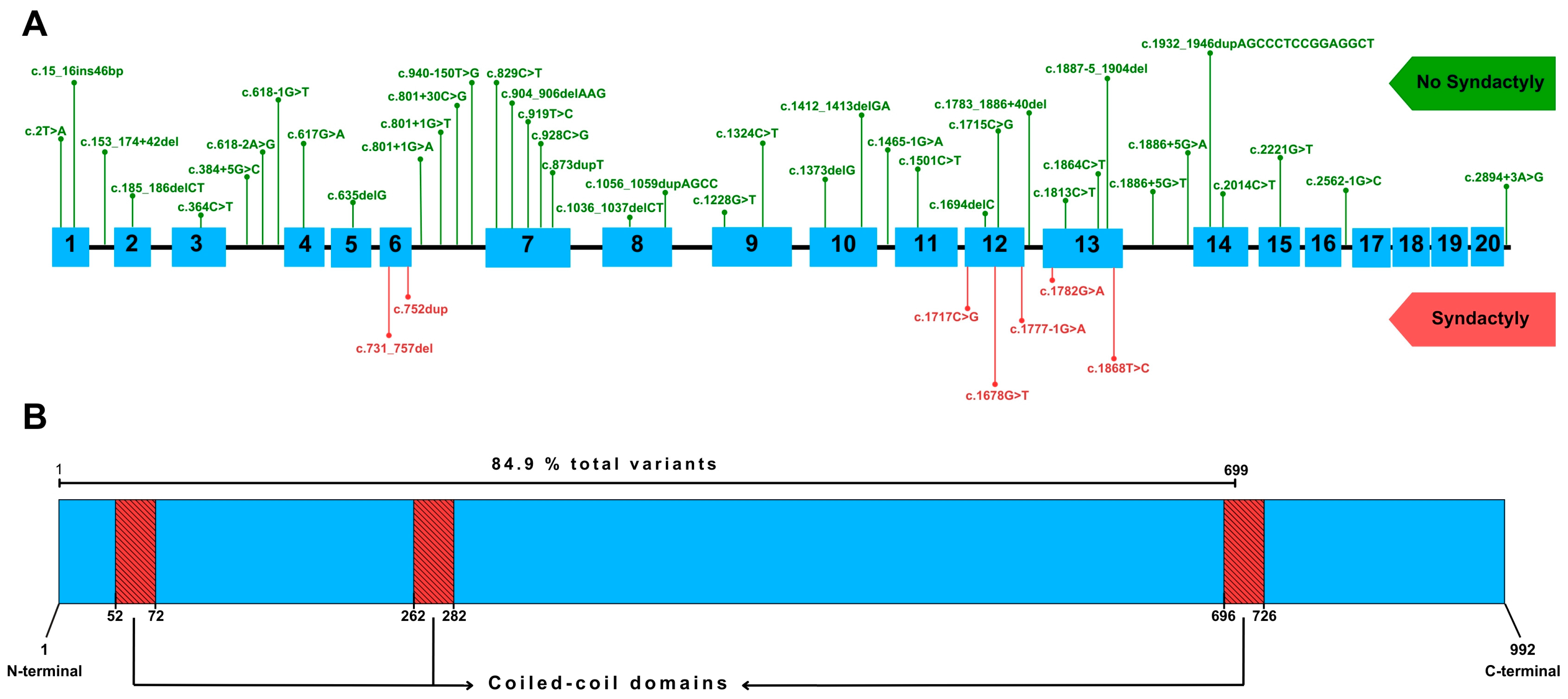 Cardiogenetics 15 00011 g005 Cardiogenetics 15 00011 g005