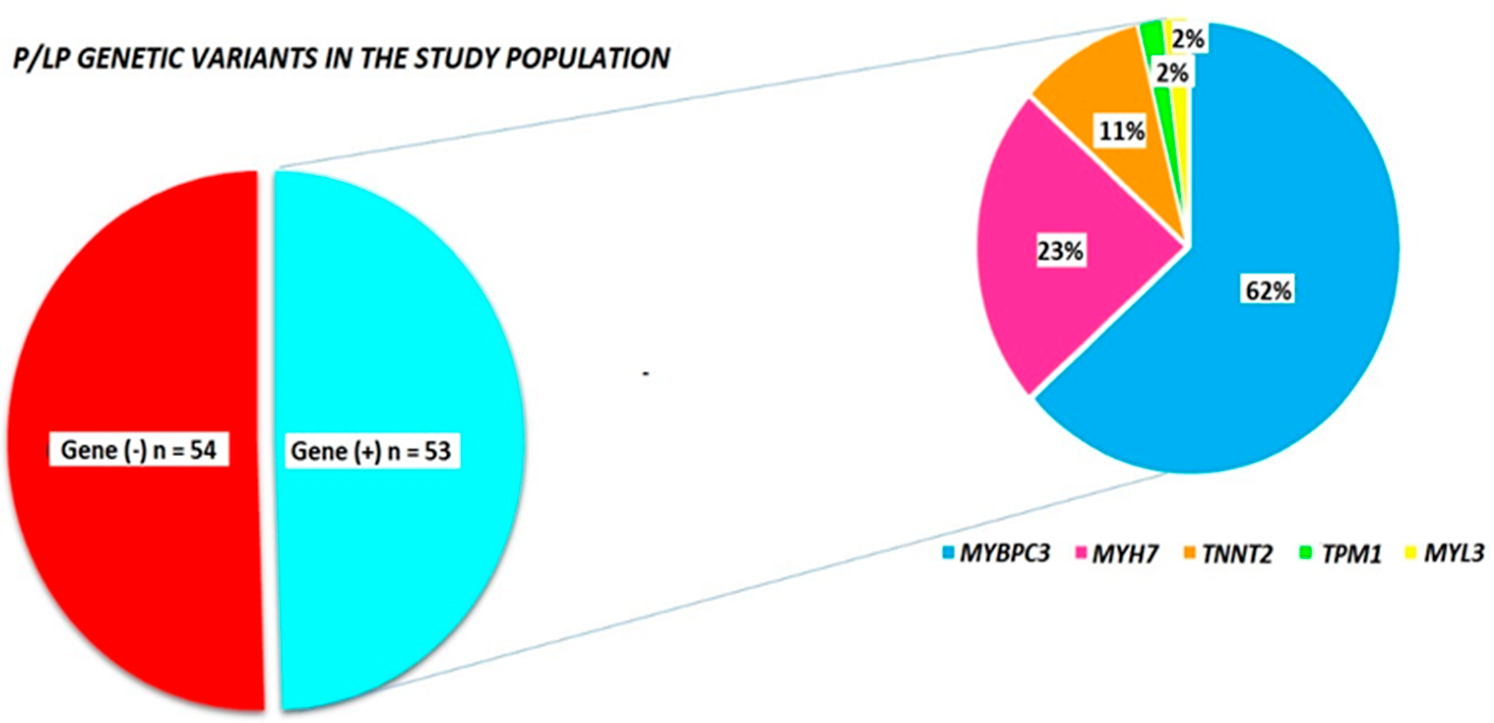 Cardiogenetics 15 00012 g001
