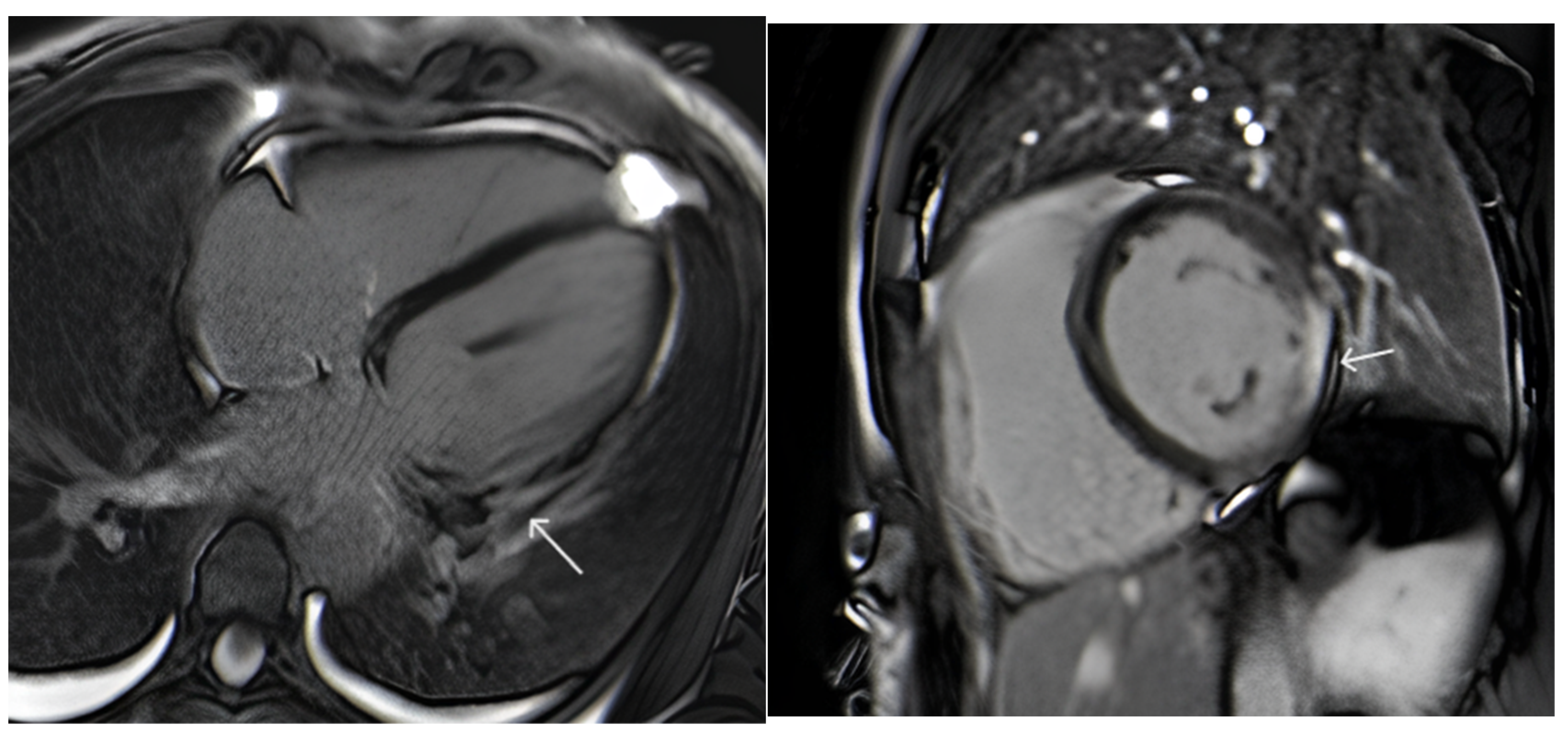 Cardiogenetics 15 00013 g002