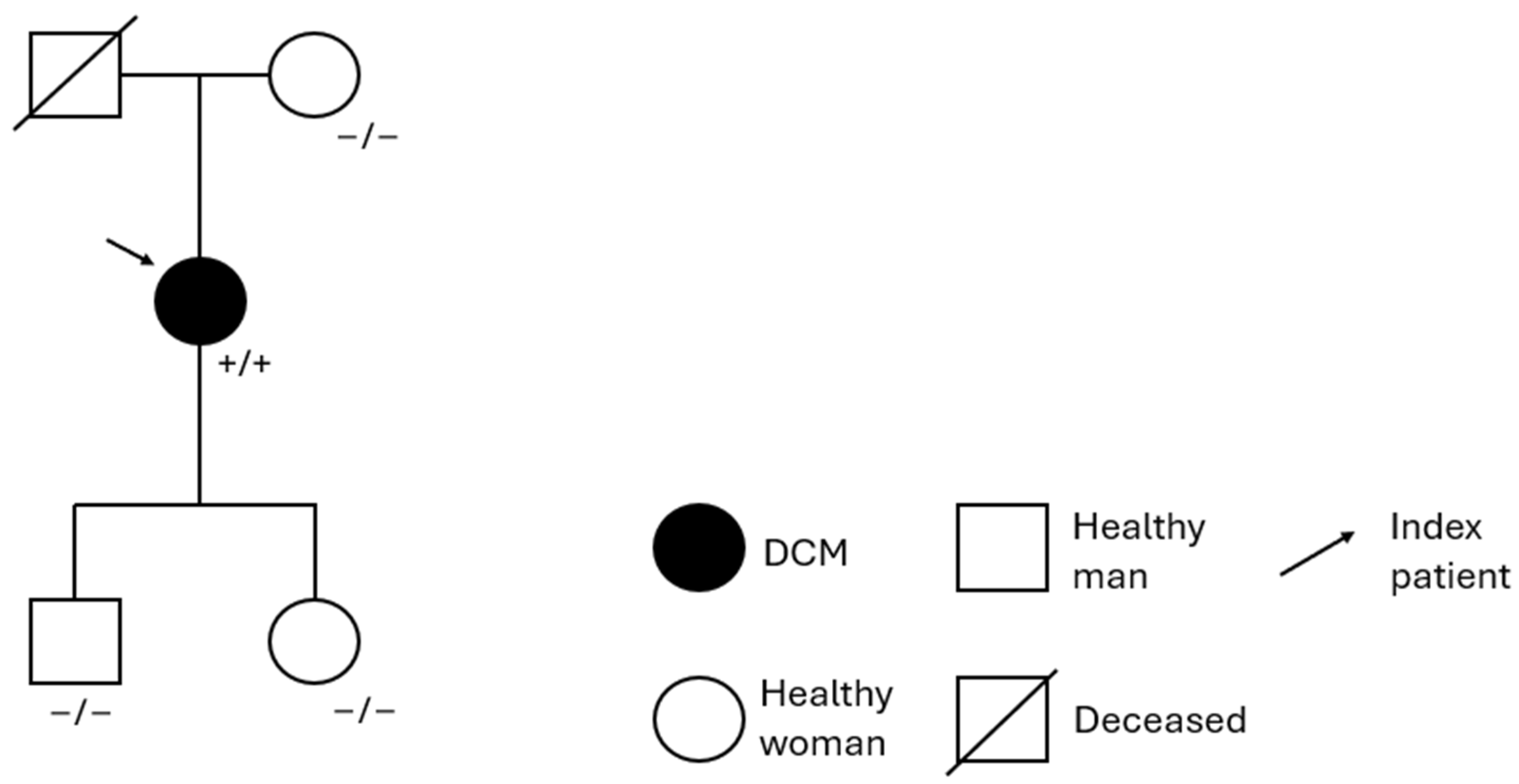 Cardiogenetics 15 00013 g006