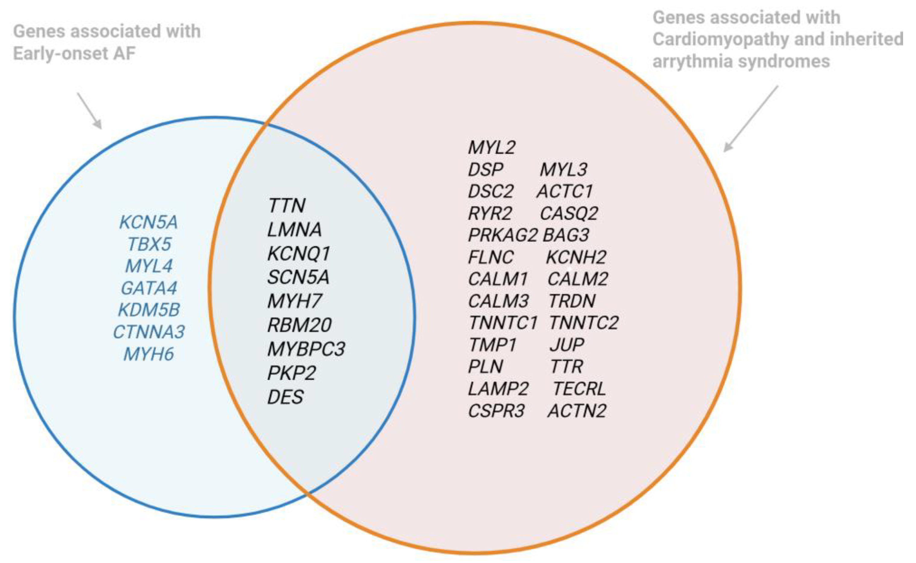 Cardiogenetics 15 00015 g001 Cardiogenetics 15 00015 g001