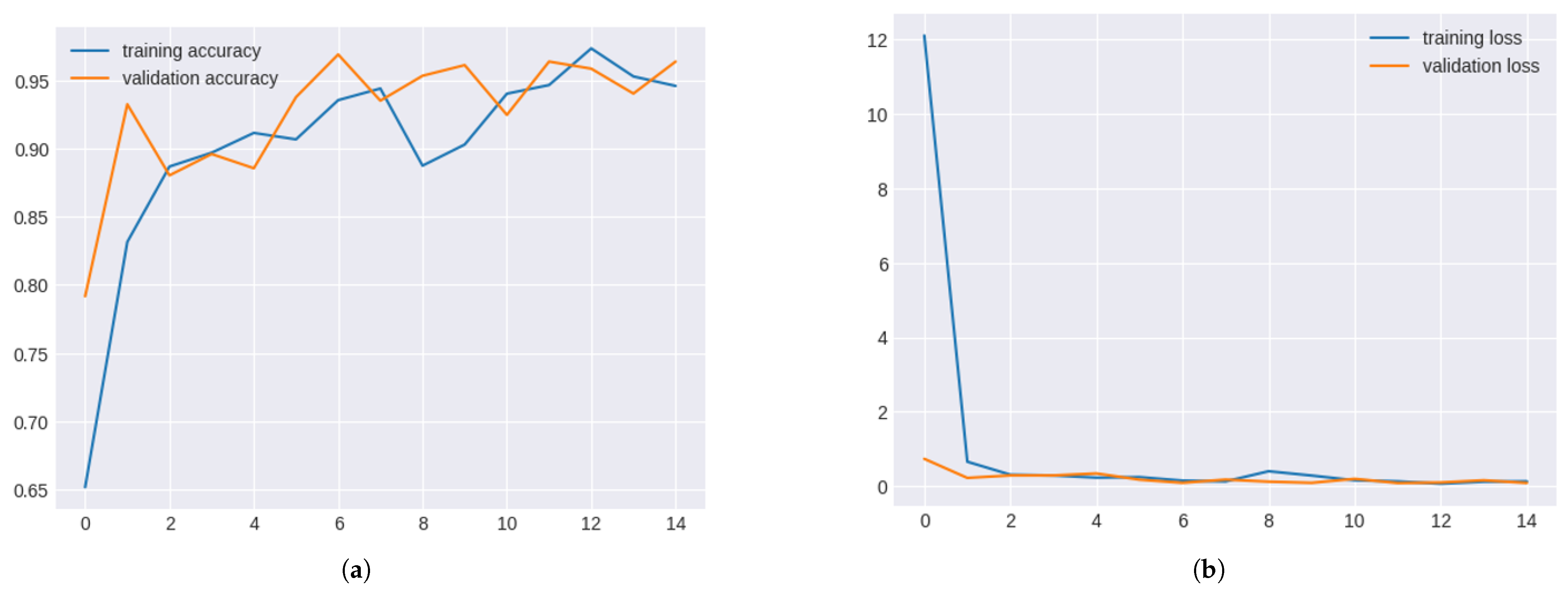 Cardiogenetics 15 00019 g009