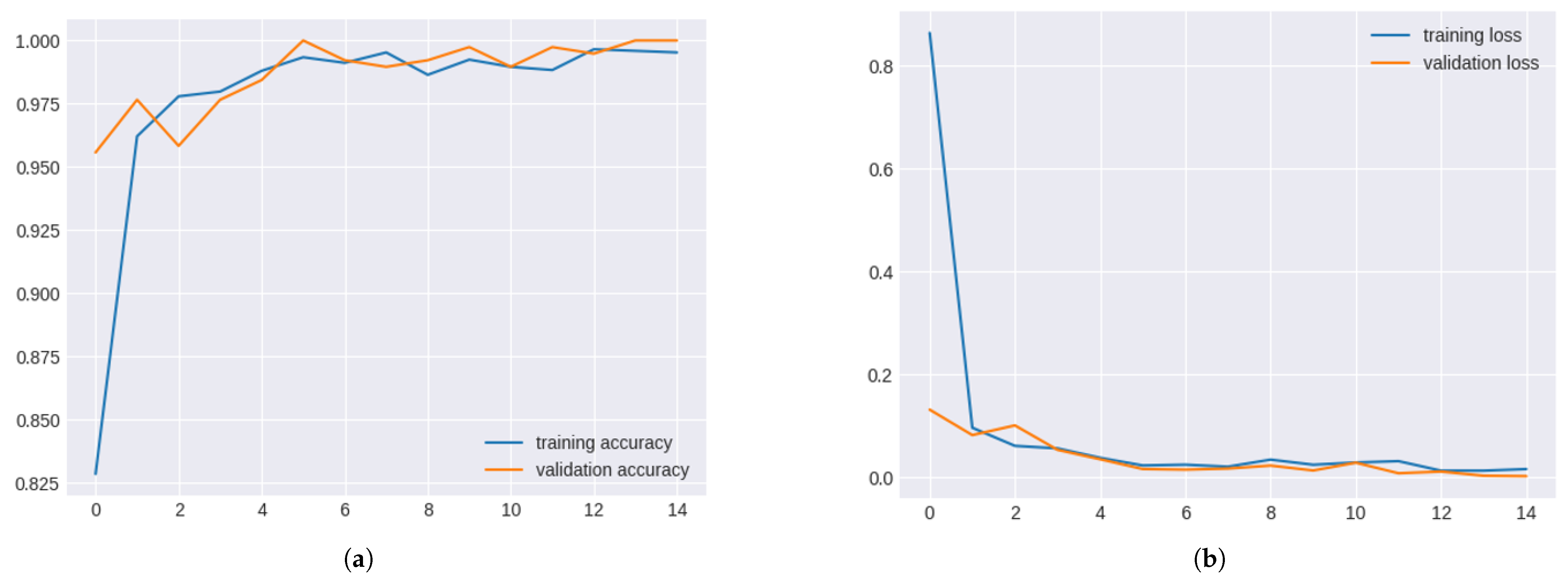 Cardiogenetics 15 00019 g012