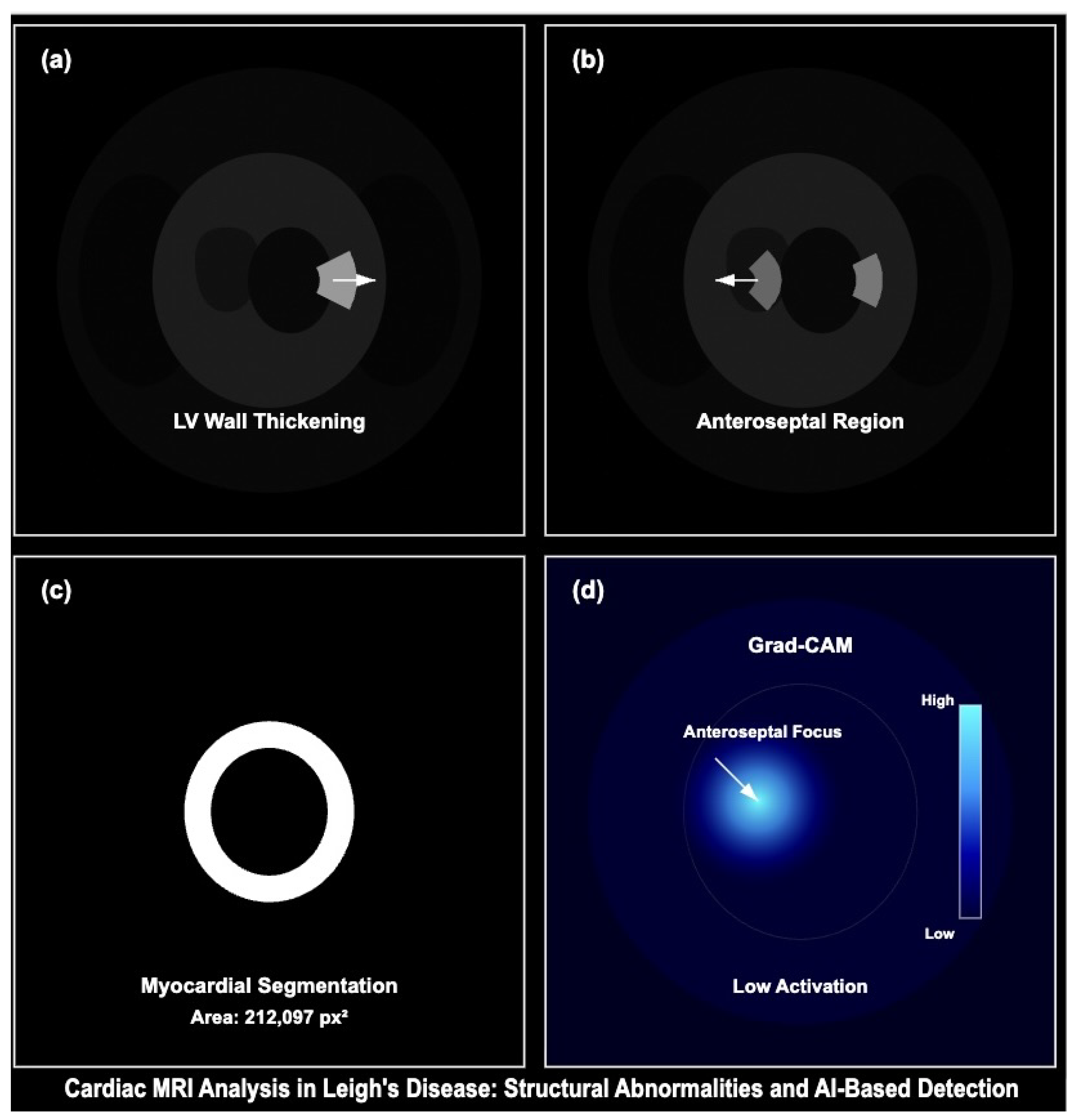 Cardiogenetics 15 00019 g017