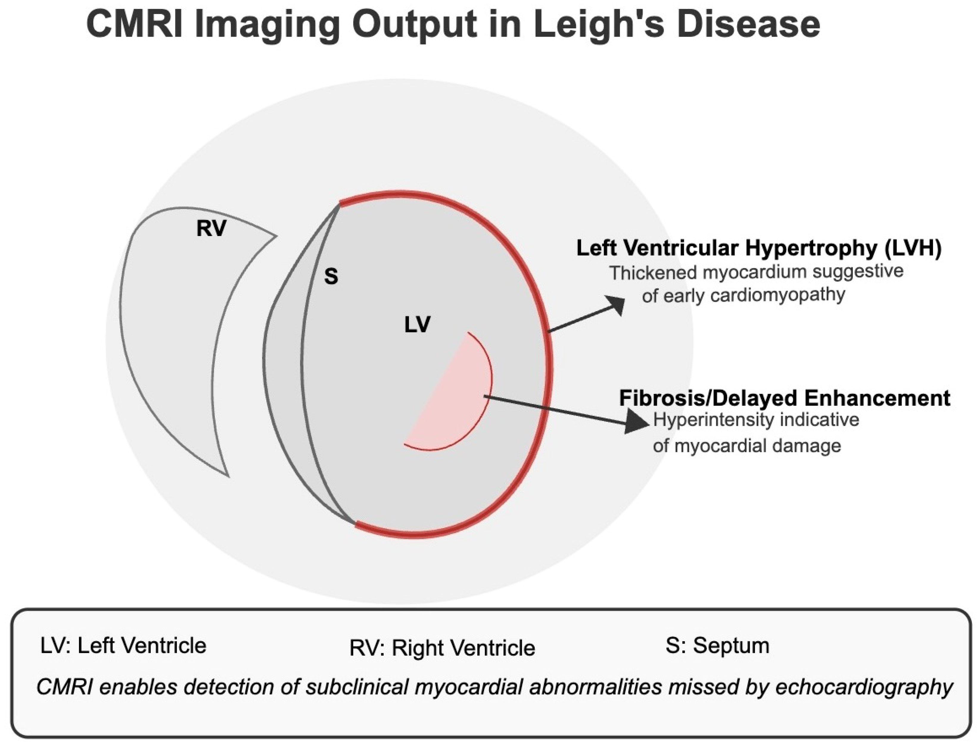 Cardiogenetics 15 00019 g019