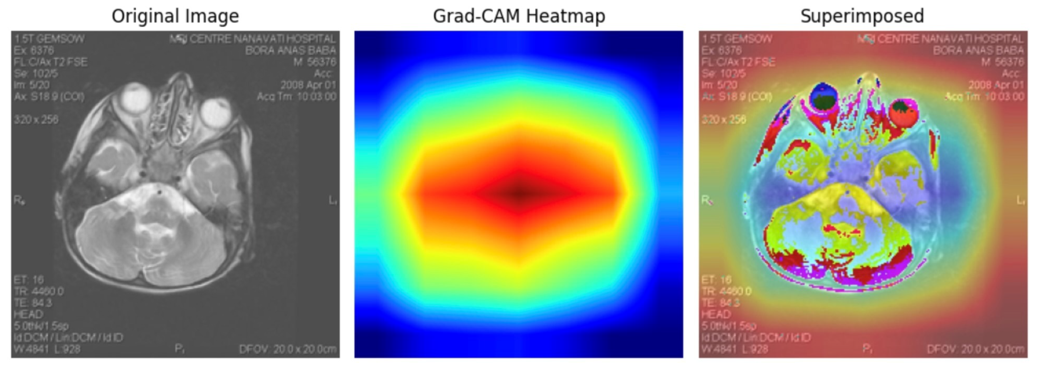 Cardiogenetics 15 00019 g020