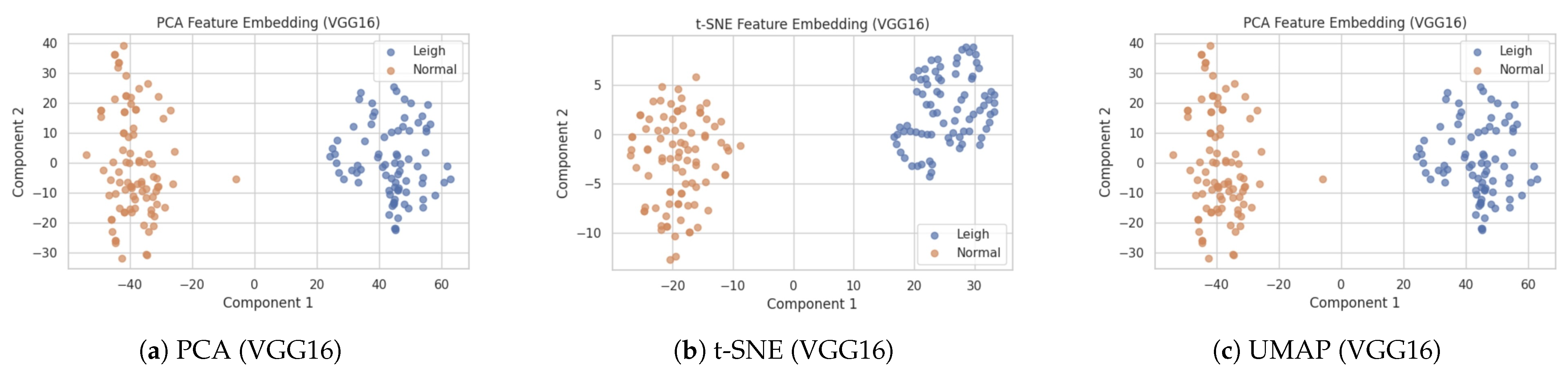 Cardiogenetics 15 00019 g021