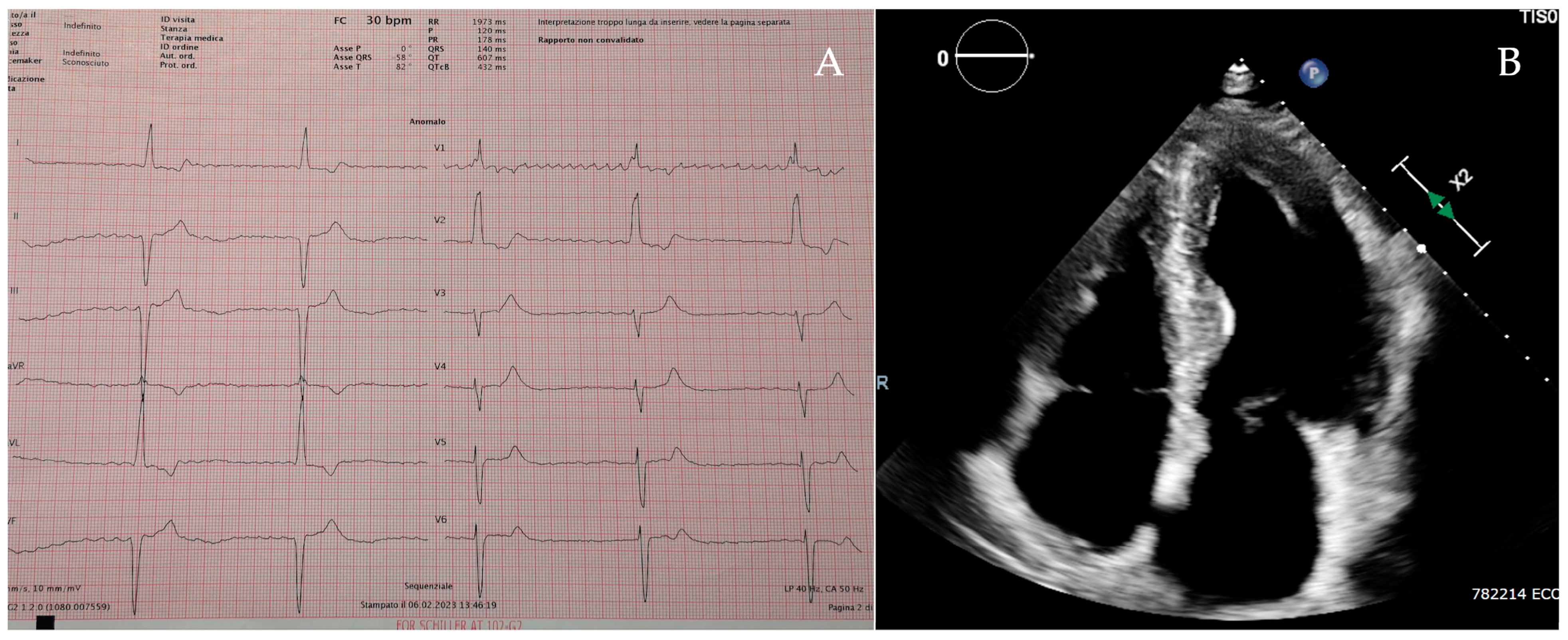 Cardiogenetics 15 00021 g002