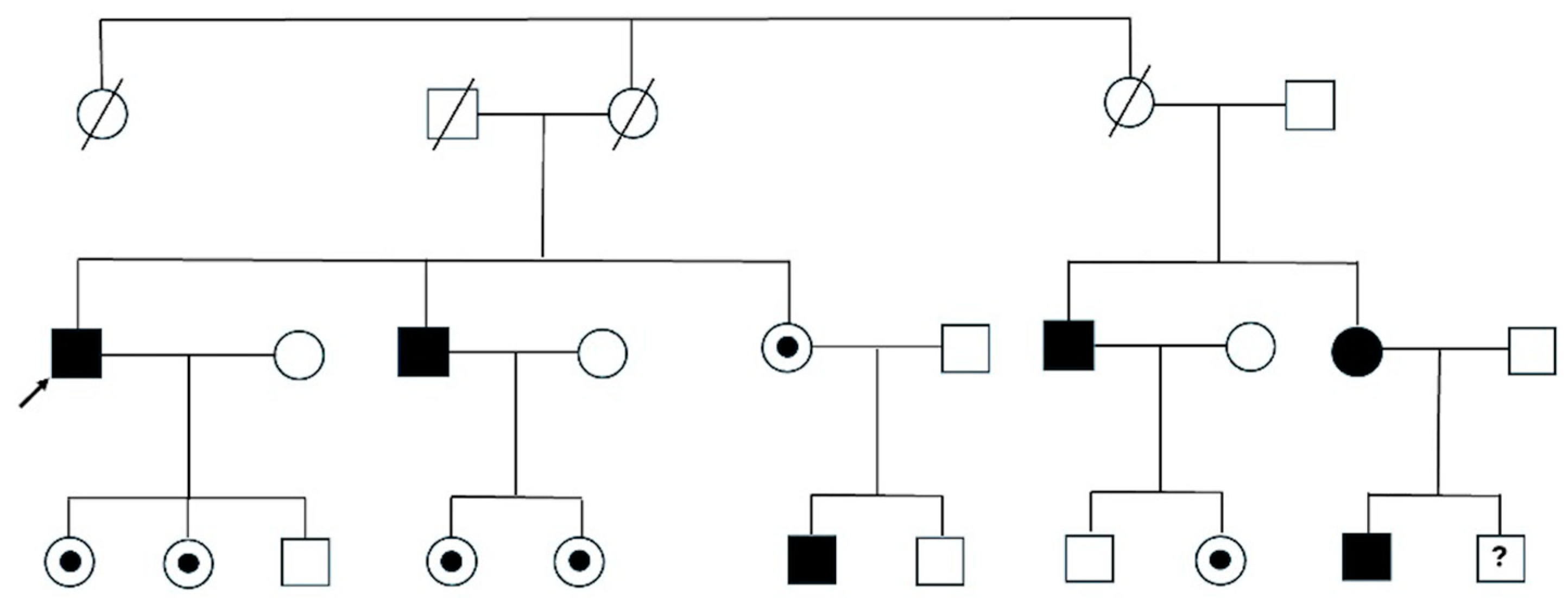 Cardiogenetics 15 00021 g003