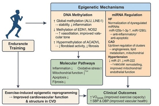 PRISMA flow diagram.