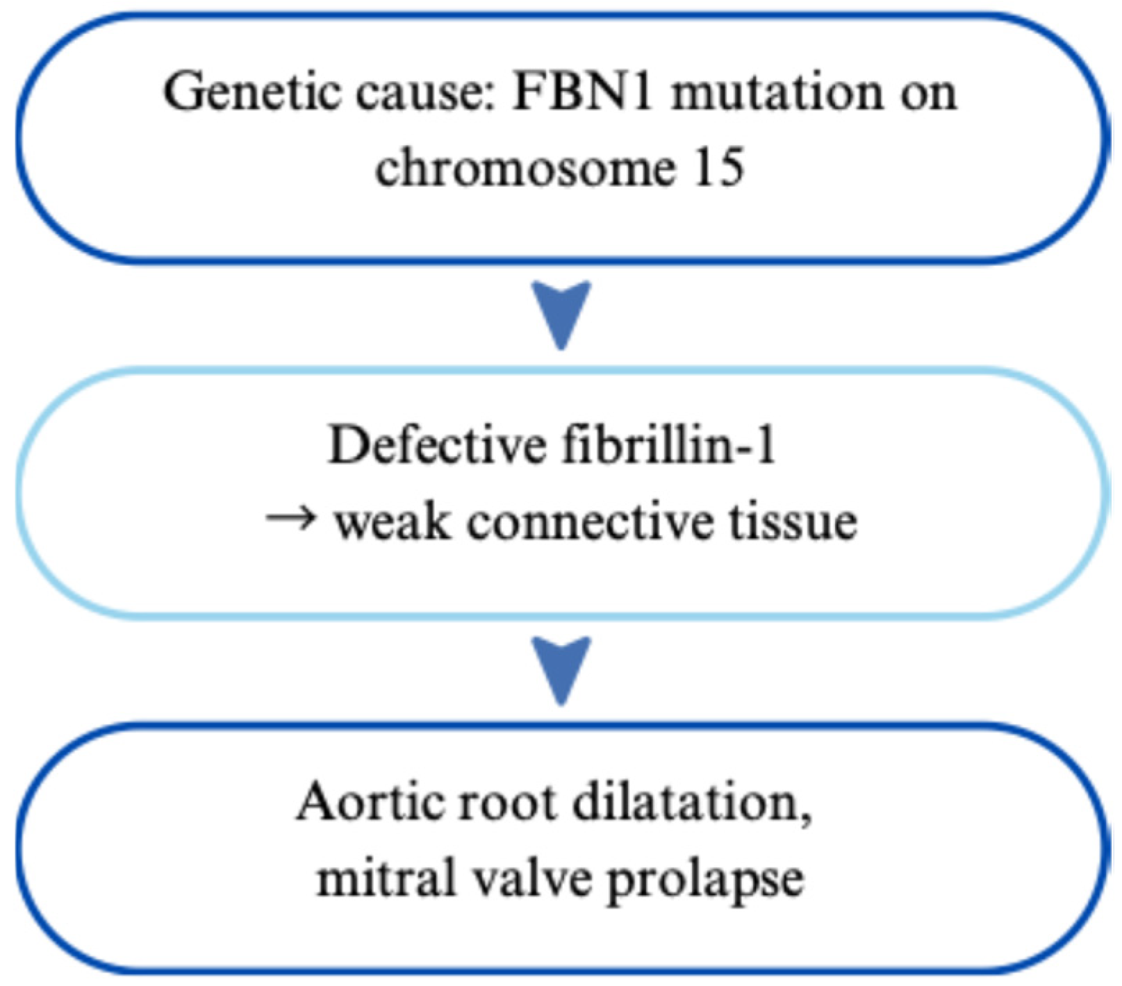 Cardiogenetics 15 00029 g001 Cardiogenetics 15 00029 g001