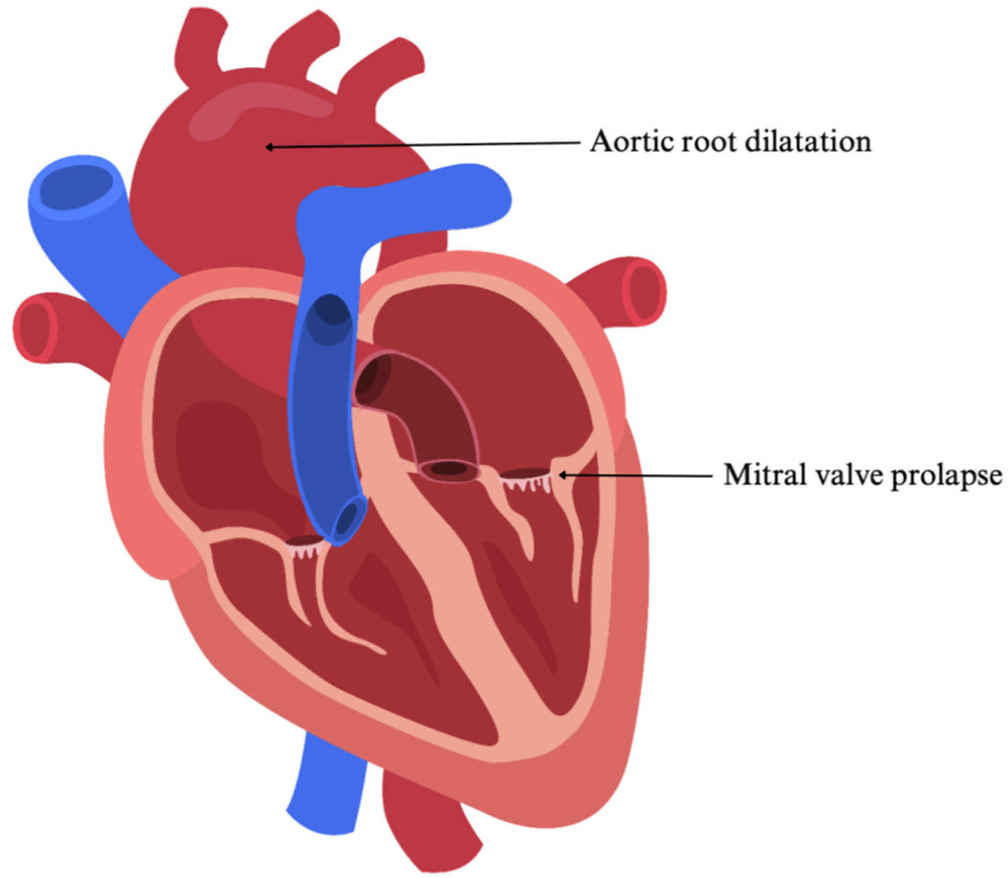 Cardiogenetics 15 00029 g002 Cardiogenetics 15 00029 g002