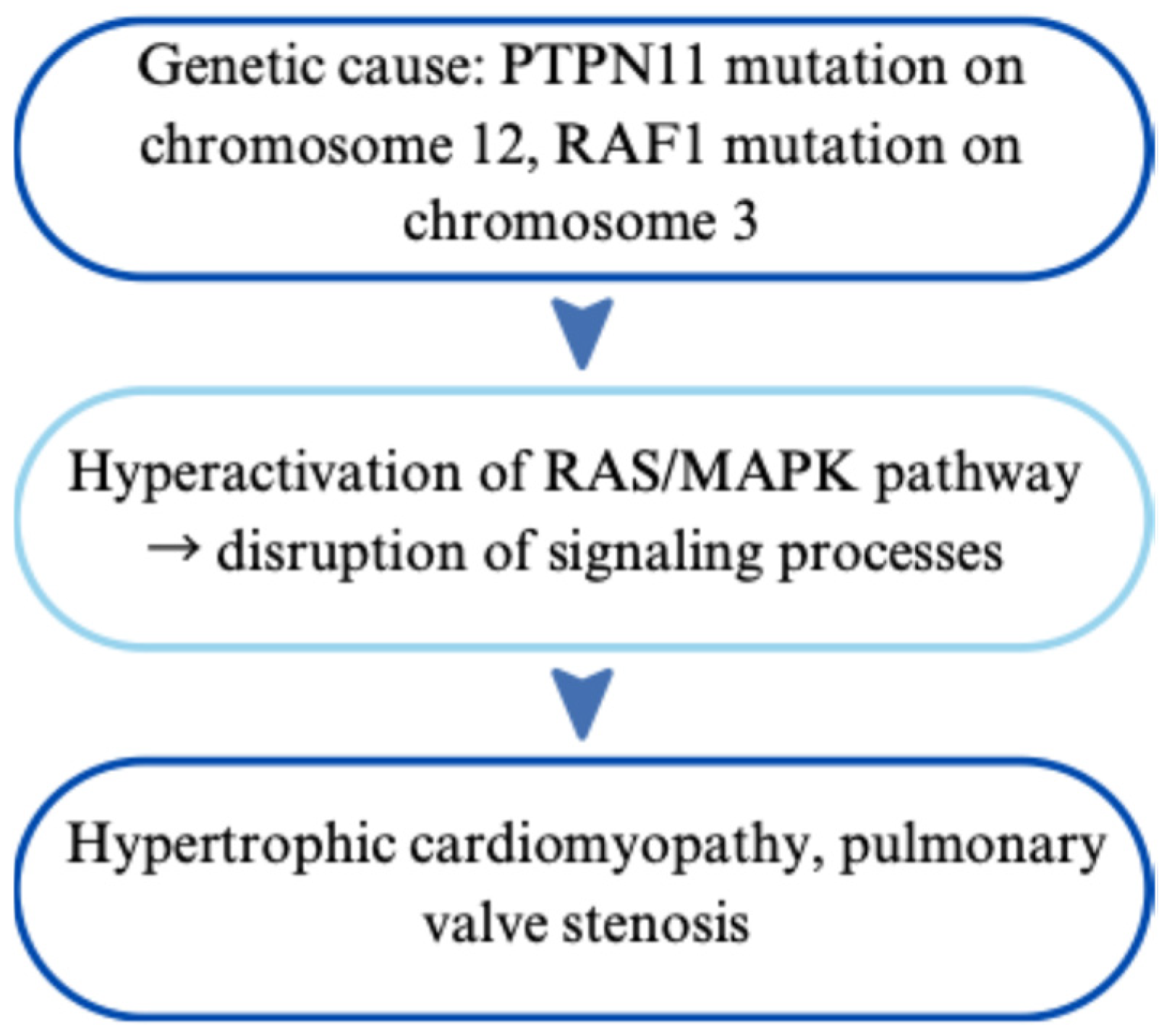 Cardiogenetics 15 00029 g003 Cardiogenetics 15 00029 g003