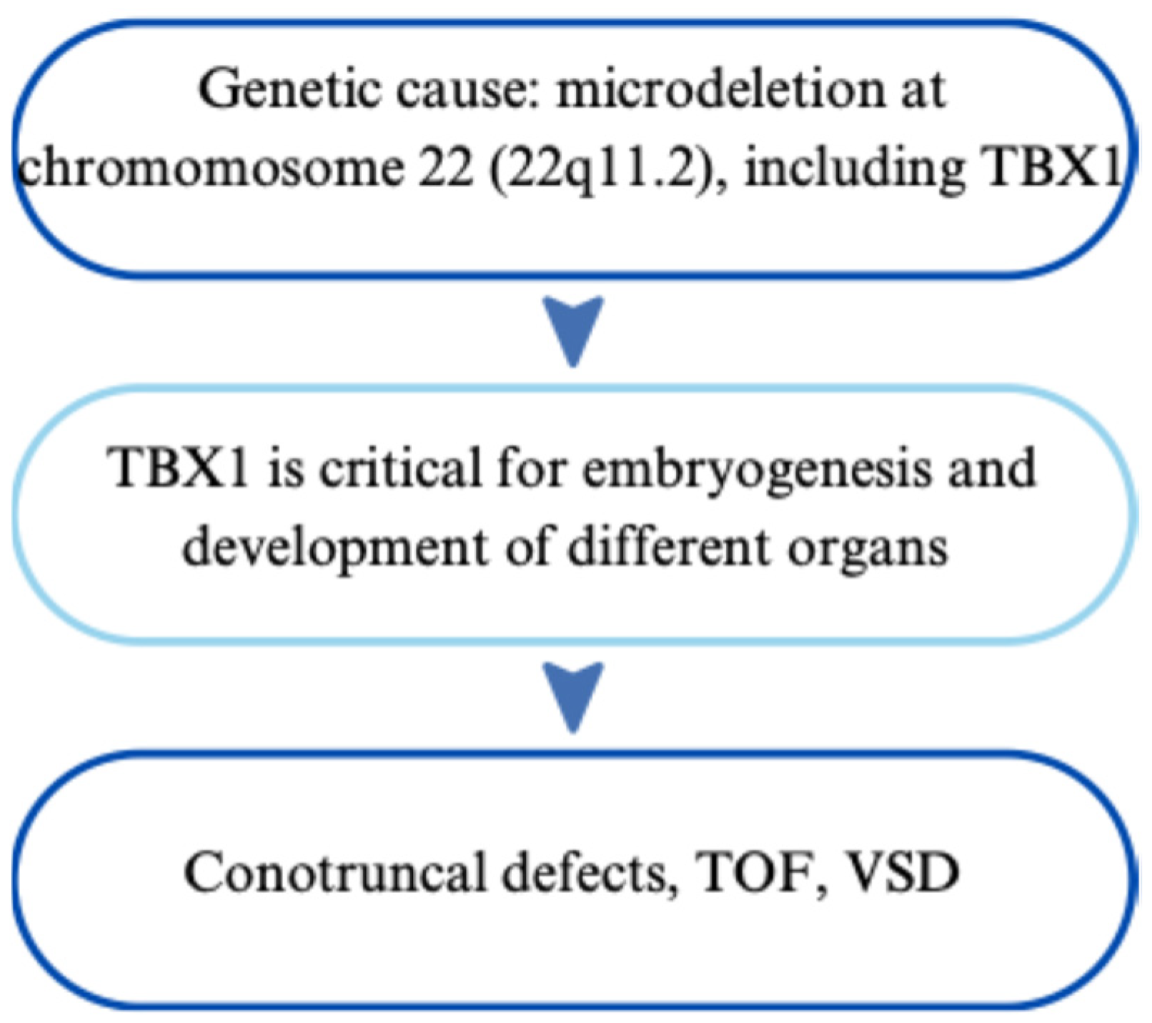 Cardiogenetics 15 00029 g004 Cardiogenetics 15 00029 g004