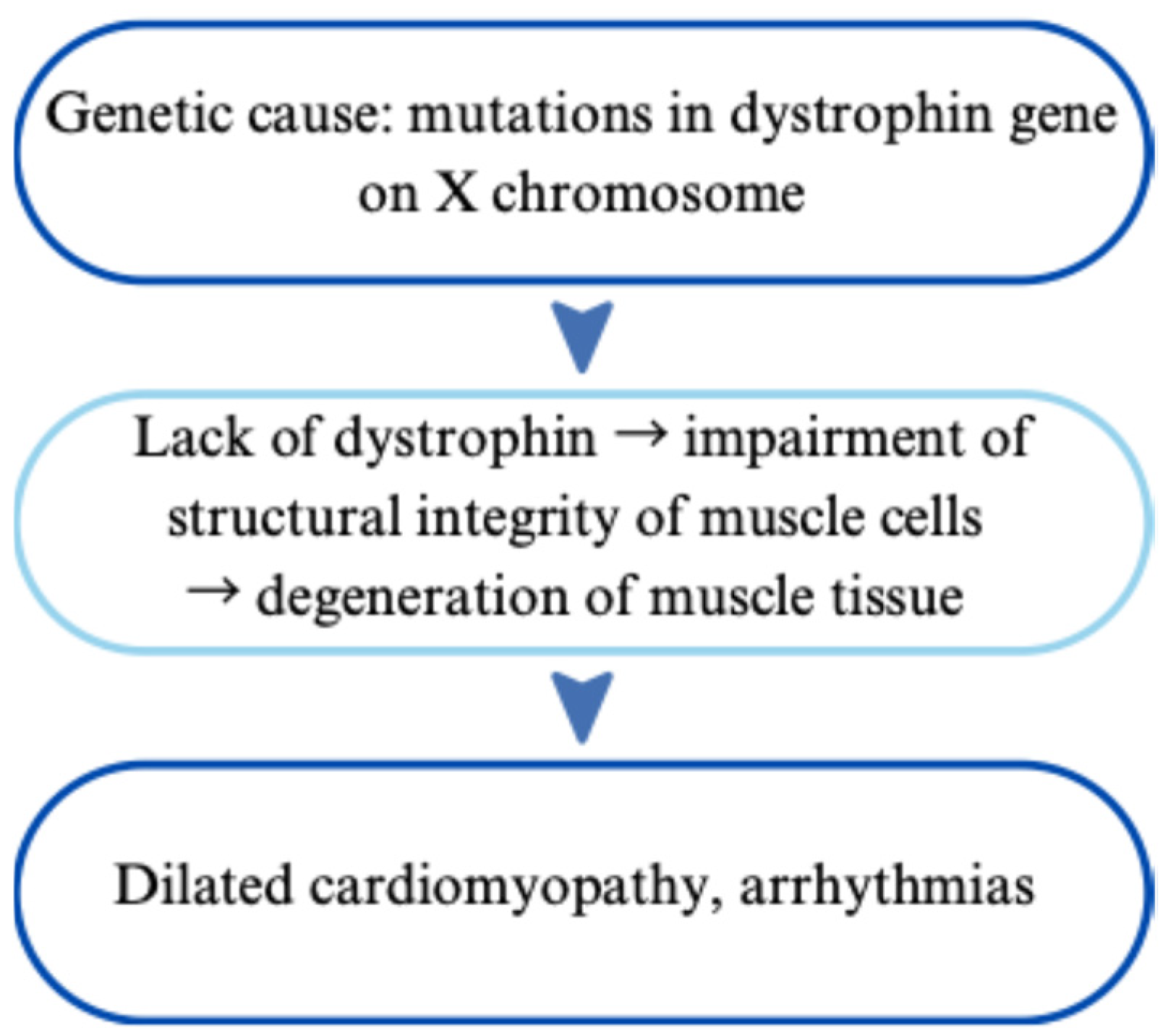 Cardiogenetics 15 00029 g005 Cardiogenetics 15 00029 g005