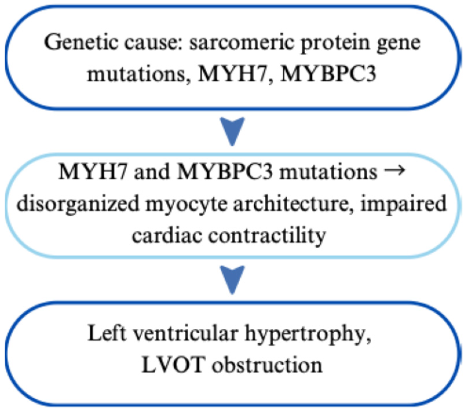 Cardiogenetics 15 00029 g006 Cardiogenetics 15 00029 g006