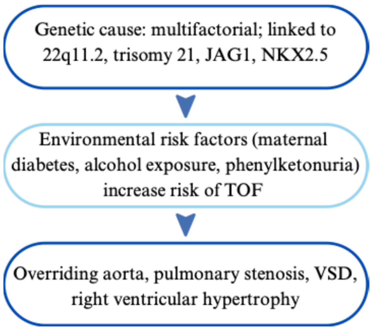 Cardiogenetics 15 00029 g007 Cardiogenetics 15 00029 g007