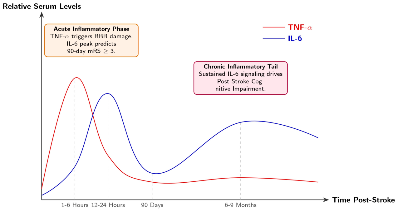 Cardiogenetics 16 00018 g005 Cardiogenetics 16 00018 g005