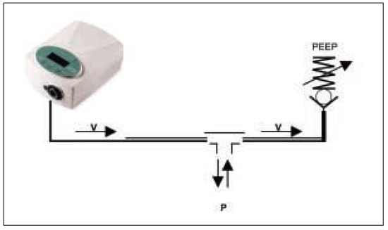 Cardiovascmed 07 00221 g004