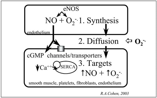 Cardiovascmed 07 00359 g001