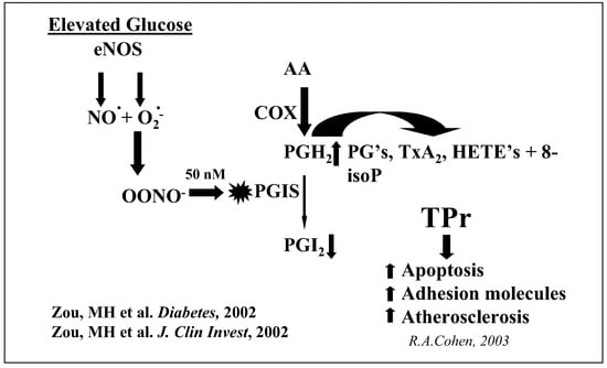 Cardiovascmed 07 00359 g002