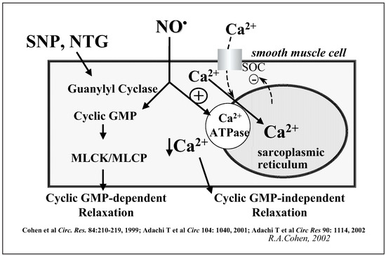 Cardiovascmed 07 00359 g003