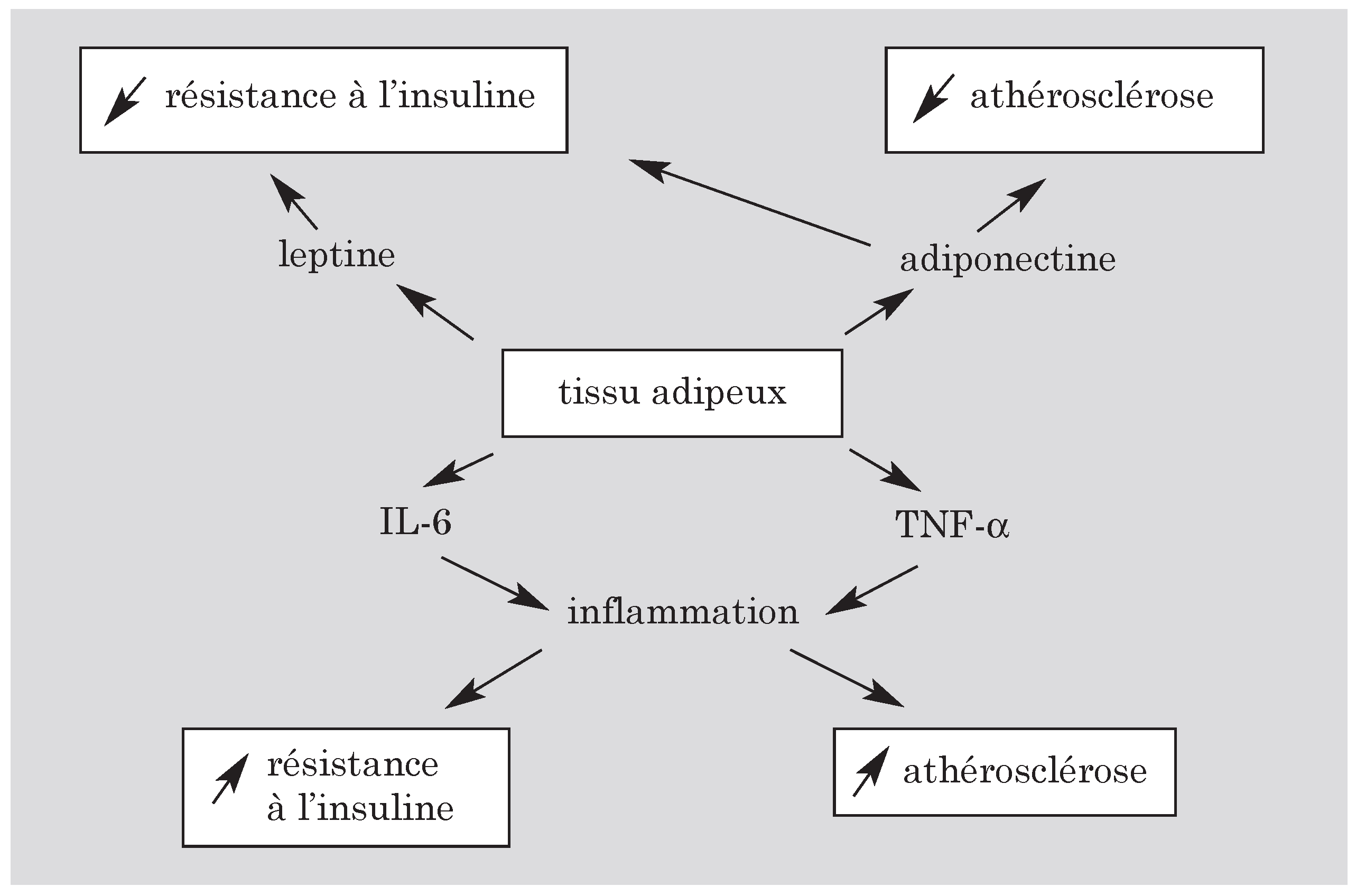 Cardiovascmed 07 00367 i004 Cardiovascmed 07 00367 i004