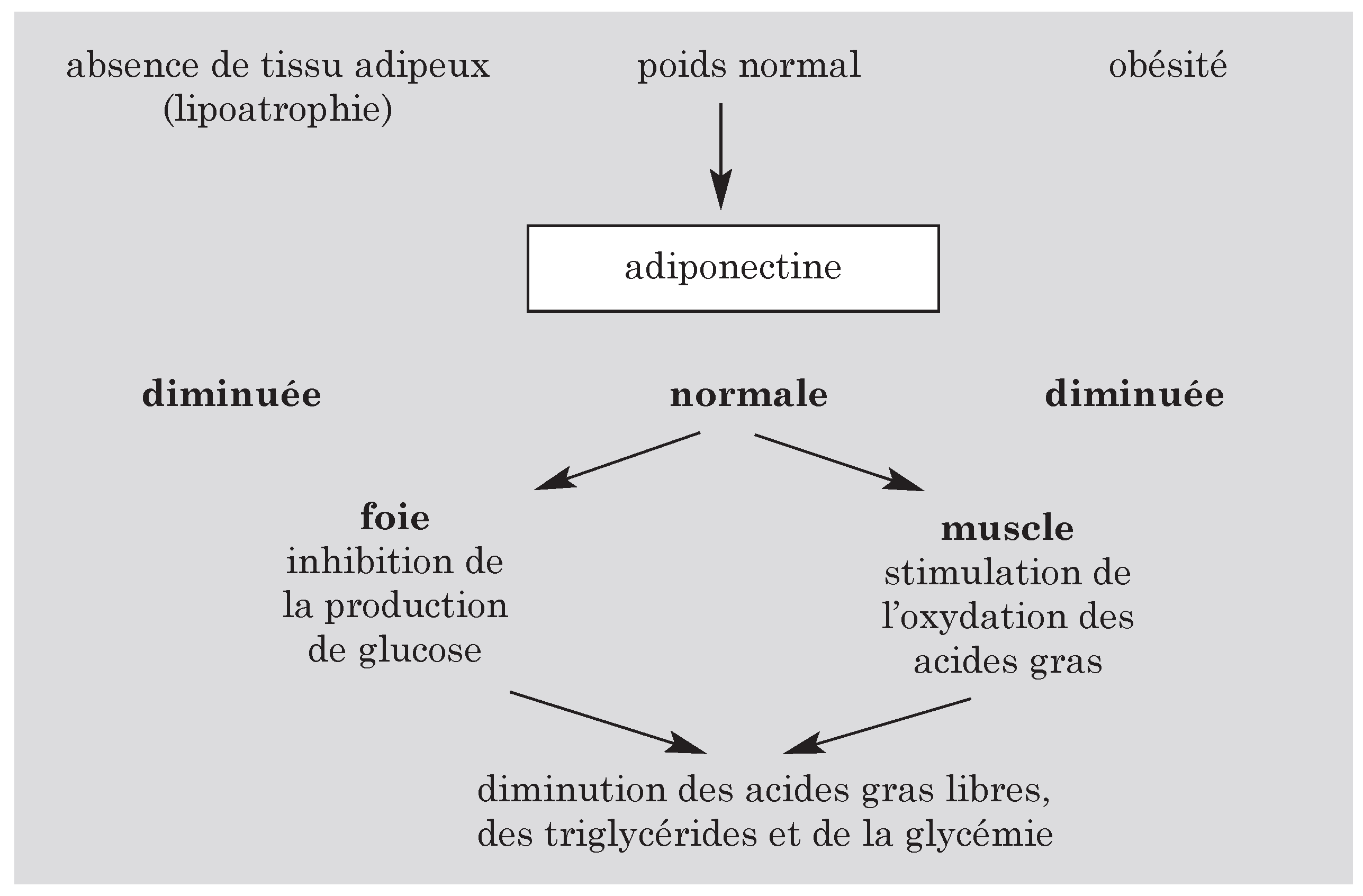 Cardiovascmed 07 00367 i005 Cardiovascmed 07 00367 i005