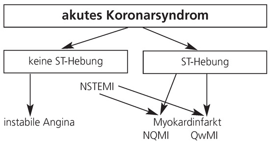 Cardiovascmed 07 00386 g004
