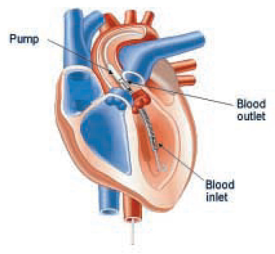 Cardiovascmed 08 00187 g002