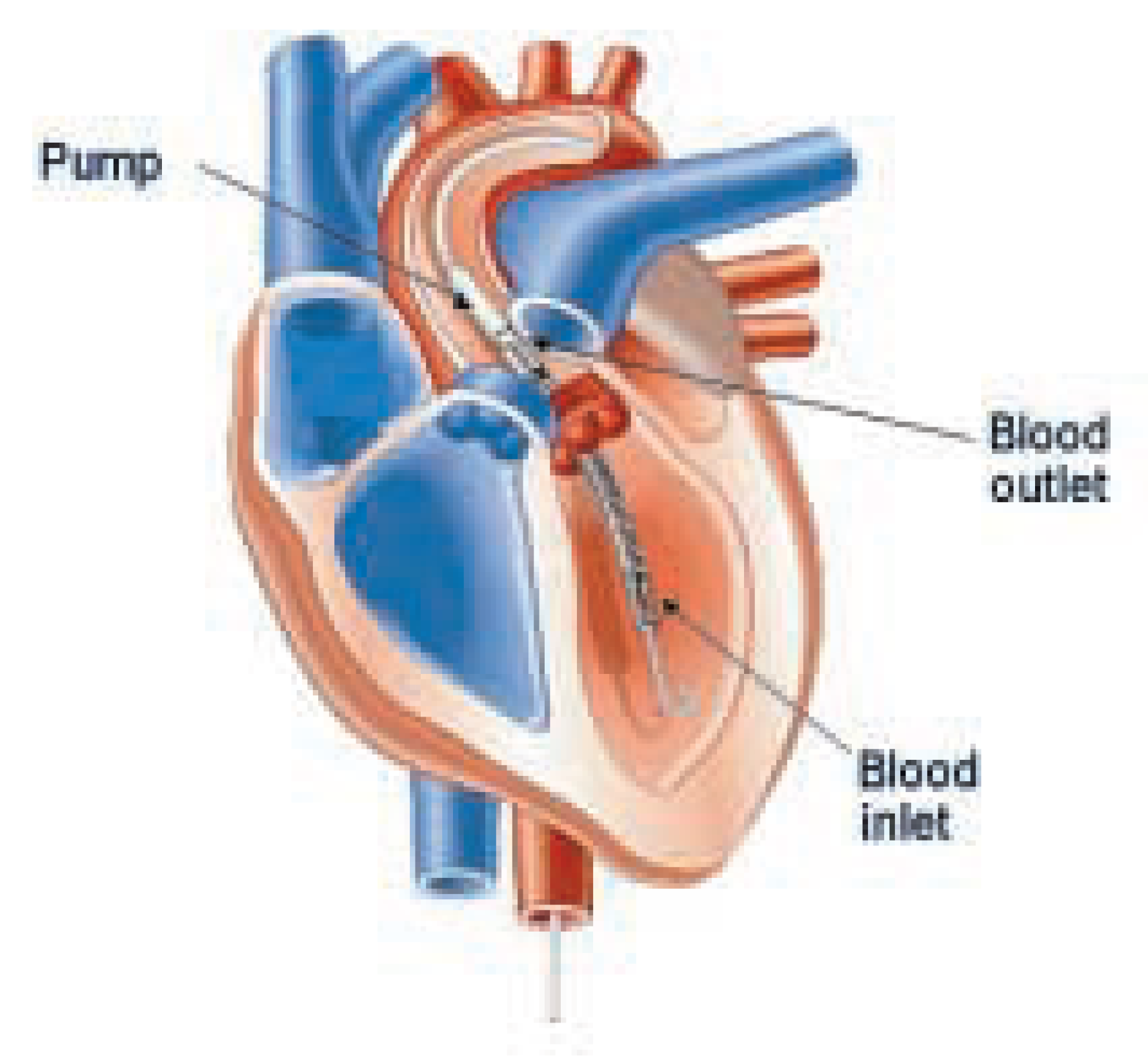 Cardiovascmed 08 00187 g002