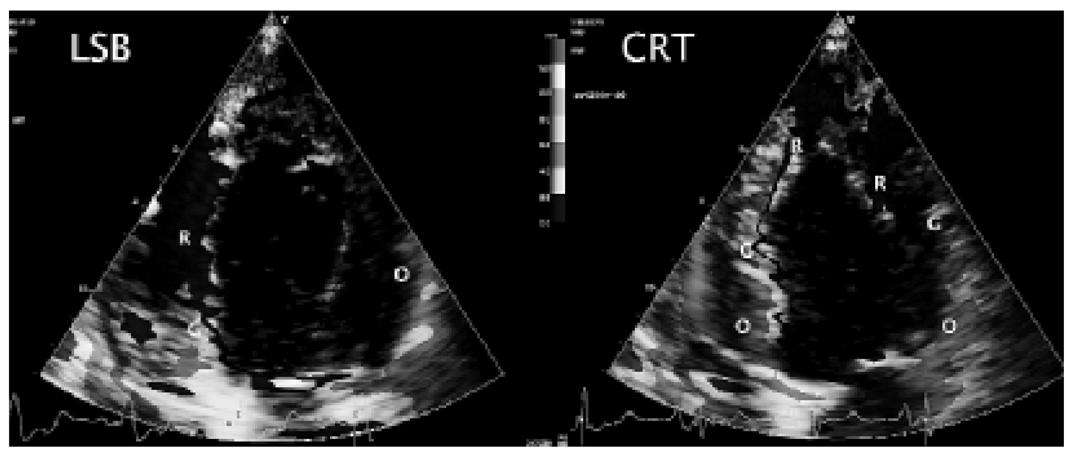 Cardiovascmed 08 00426 g007