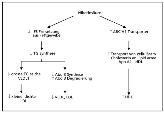 Cardiovascmed 11 00160 g001