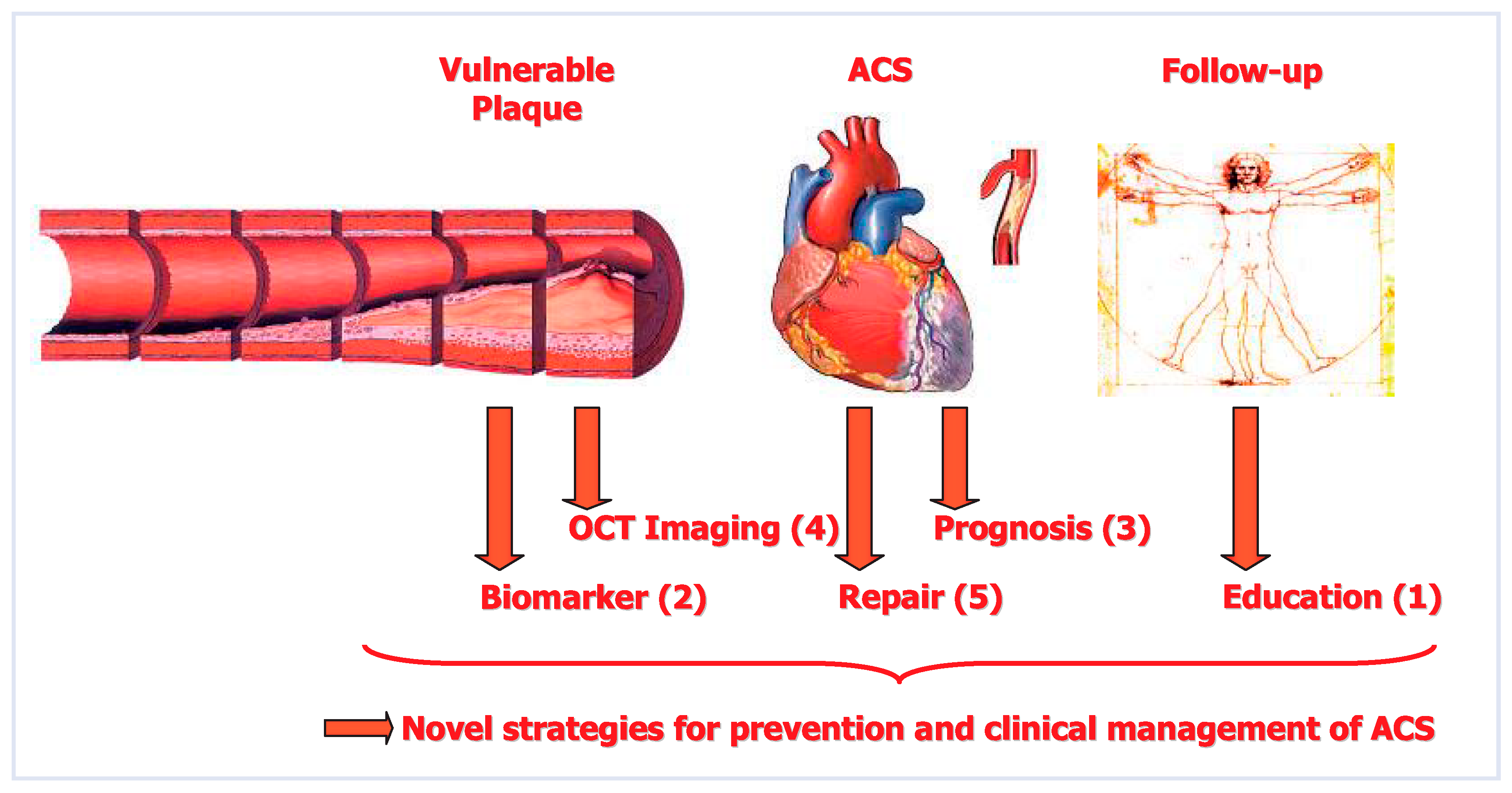 Cardiovascmed 13 00031 g001