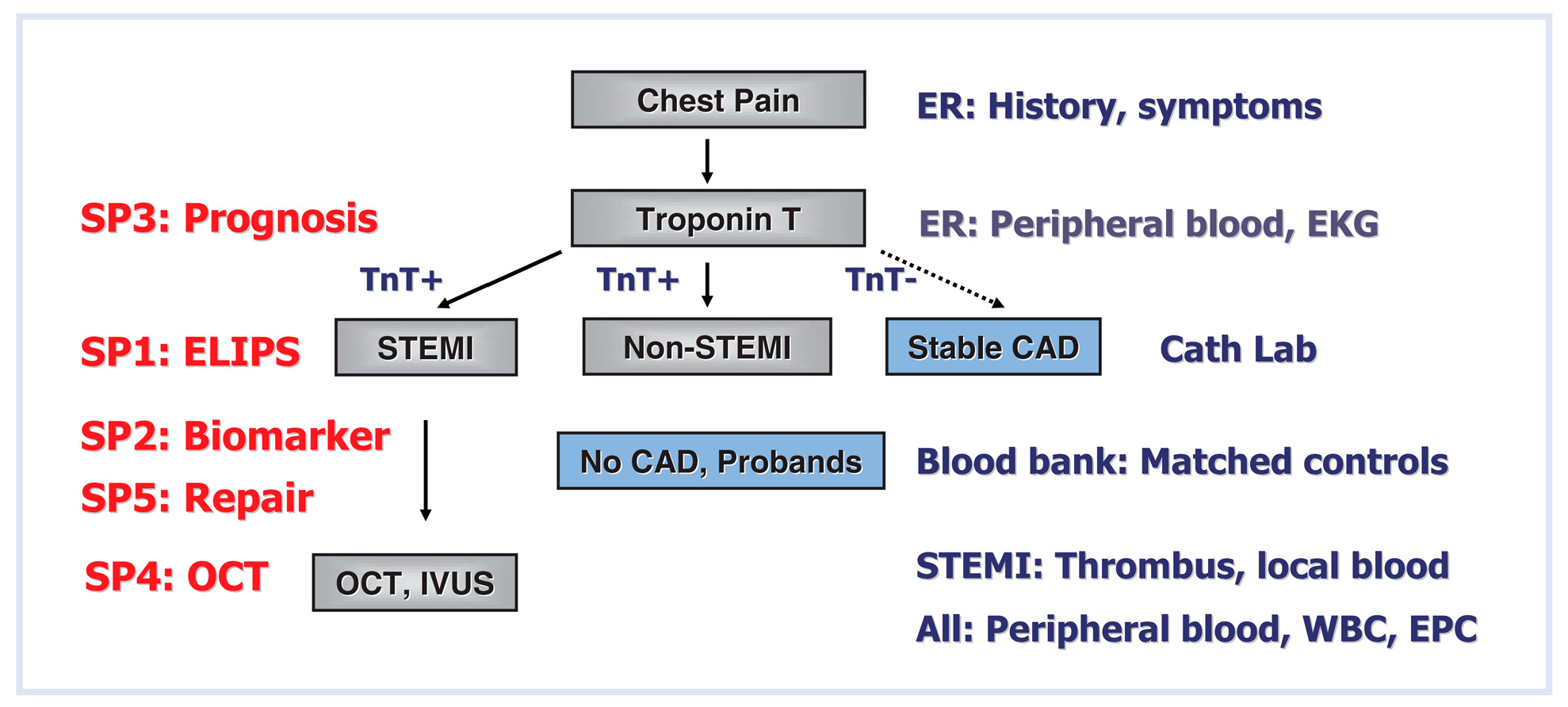 Cardiovascmed 13 00031 g002