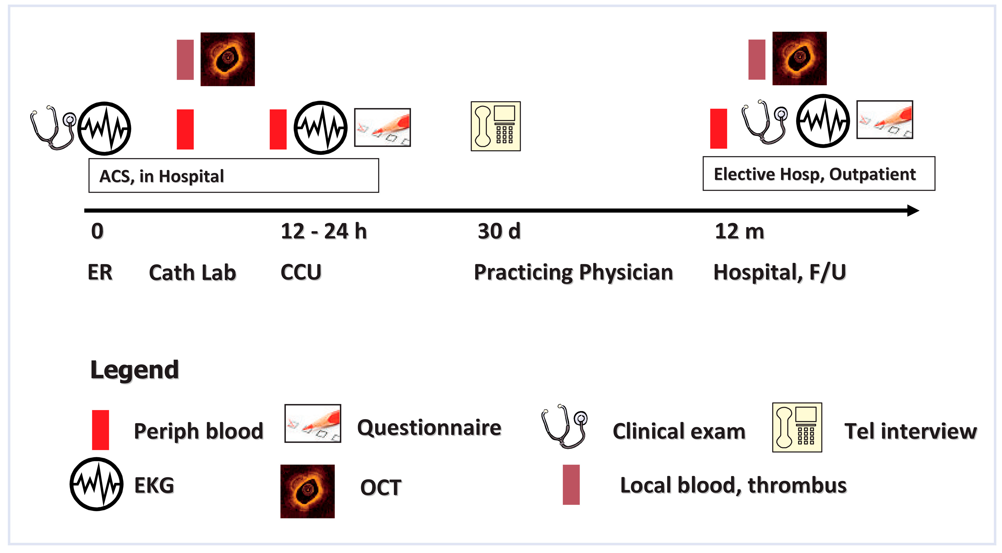 Cardiovascmed 13 00031 g003