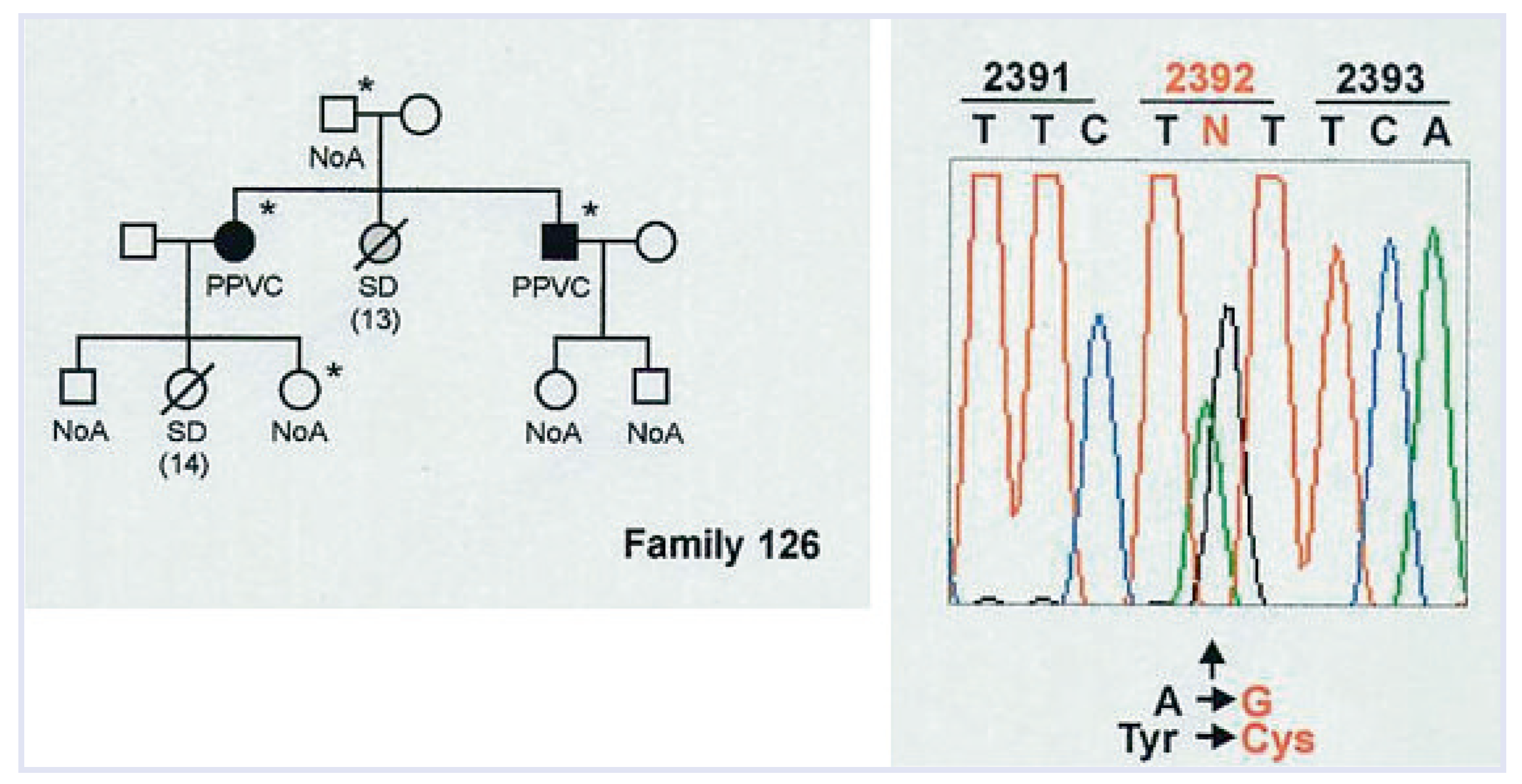 Cardiovascmed 13 00041 g010 Cardiovascmed 13 00041 g010
